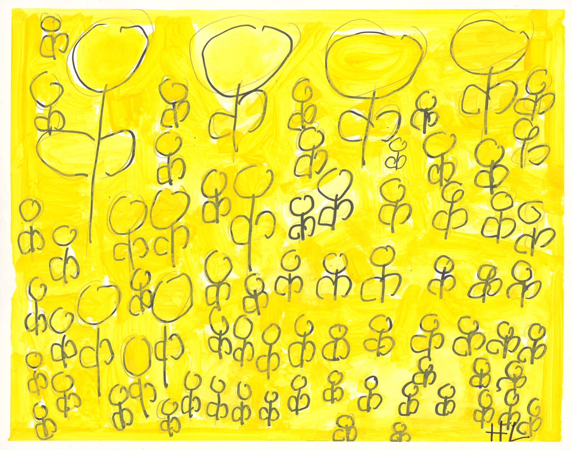Yellow Field by Helen Lewis