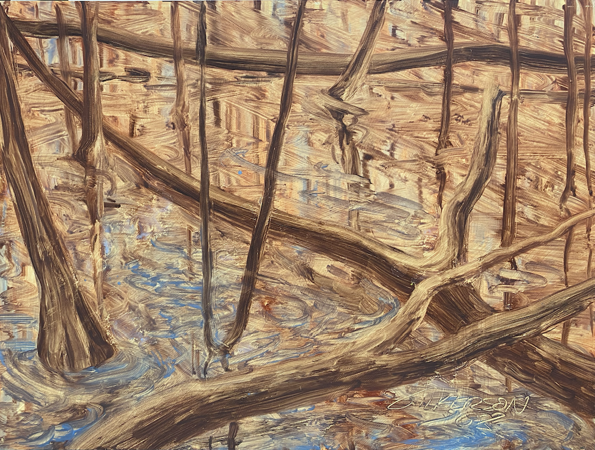 Congaree #5 by Mary Gilkerson