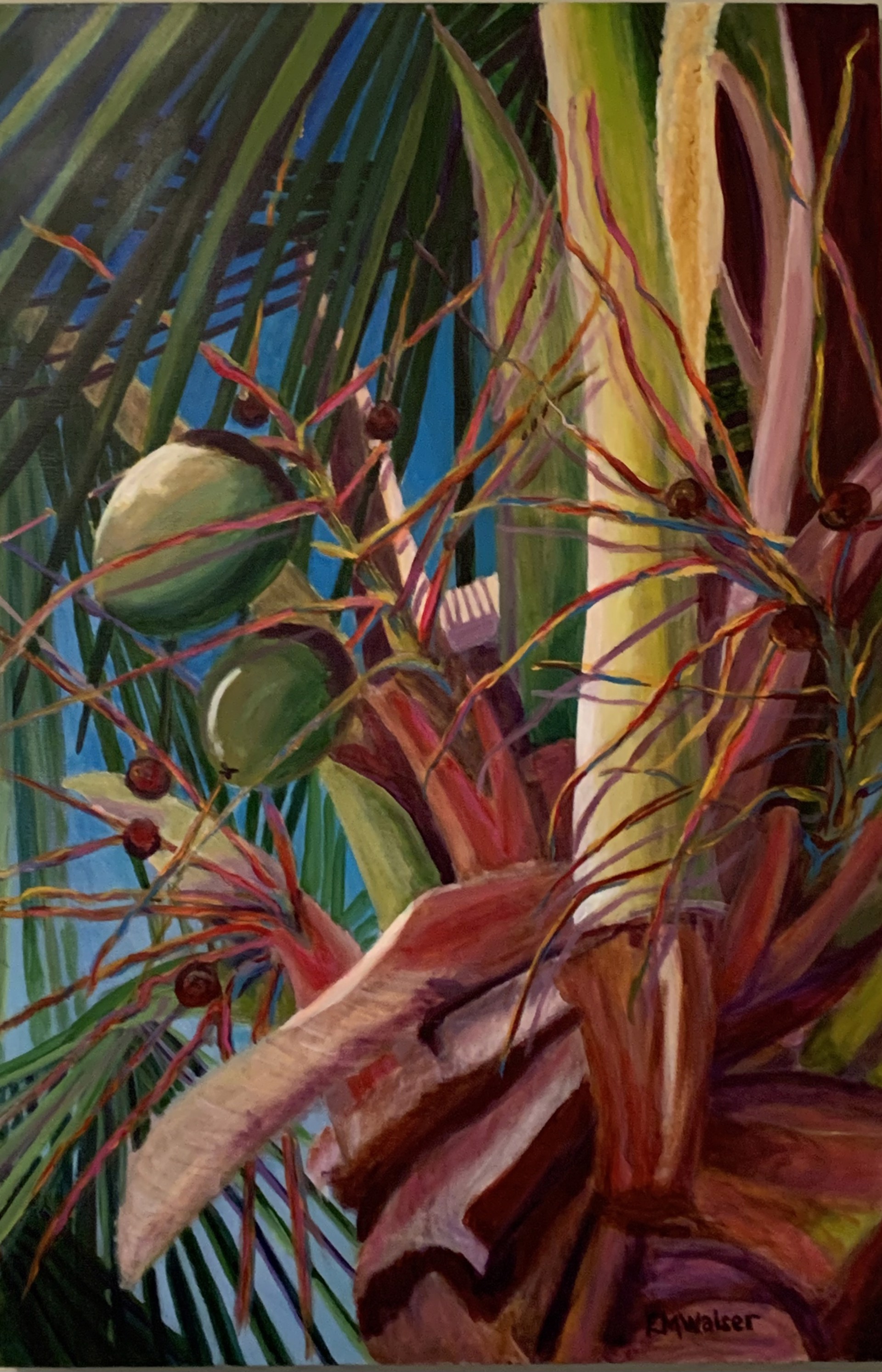 Cayman Island Palm by Betty Walser