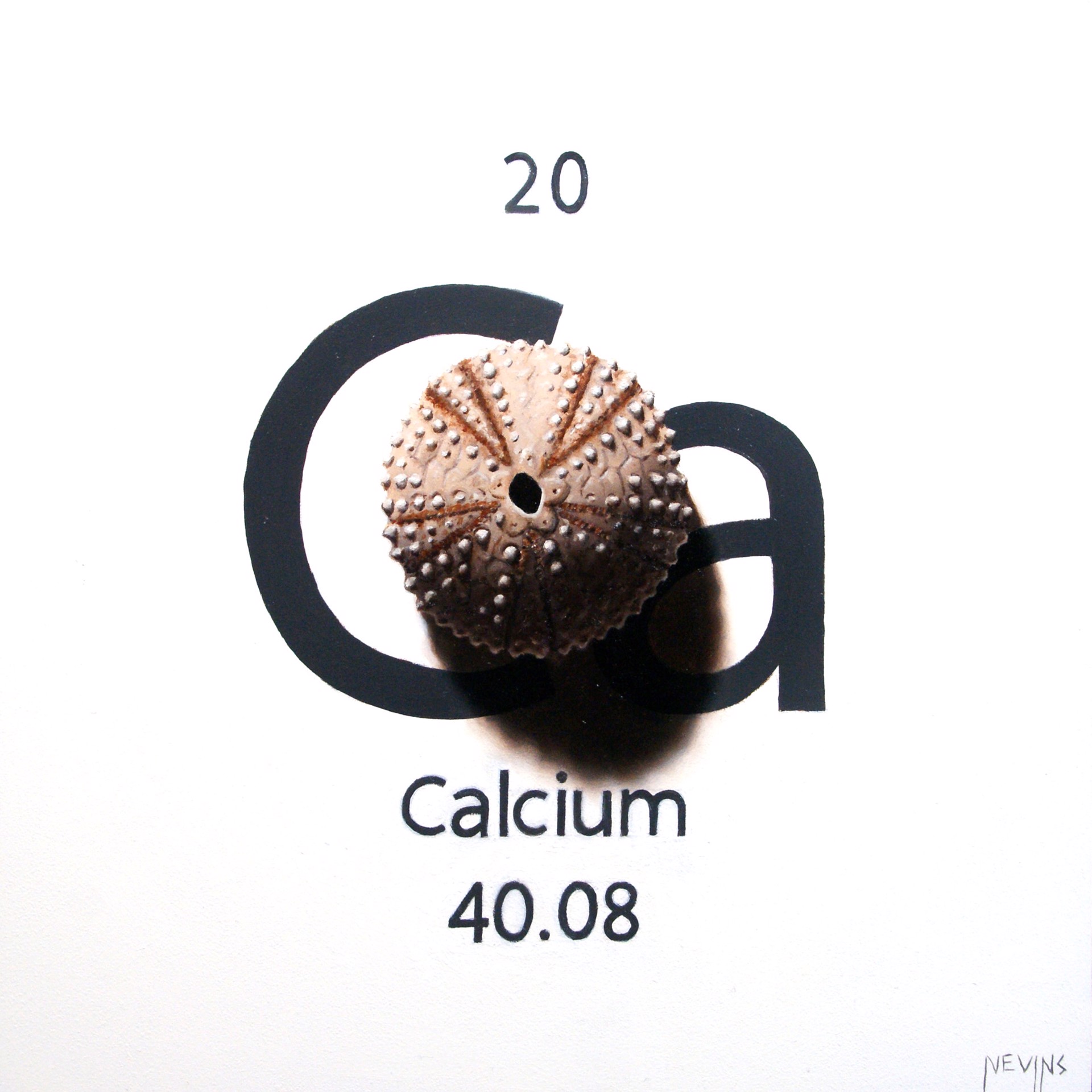 Calcium by Patrick Nevins