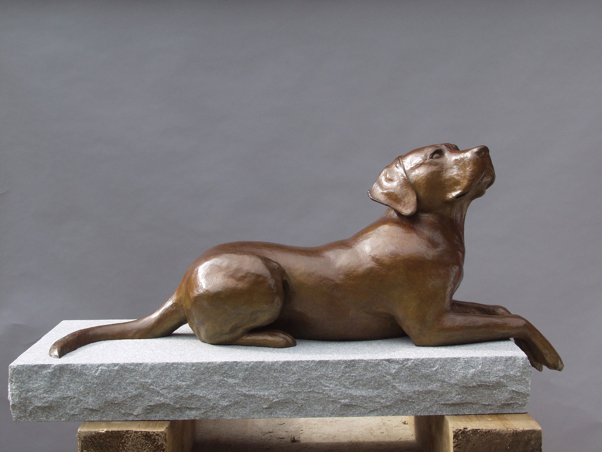 Reclining Puppy, "Take Me" by Dan Murray