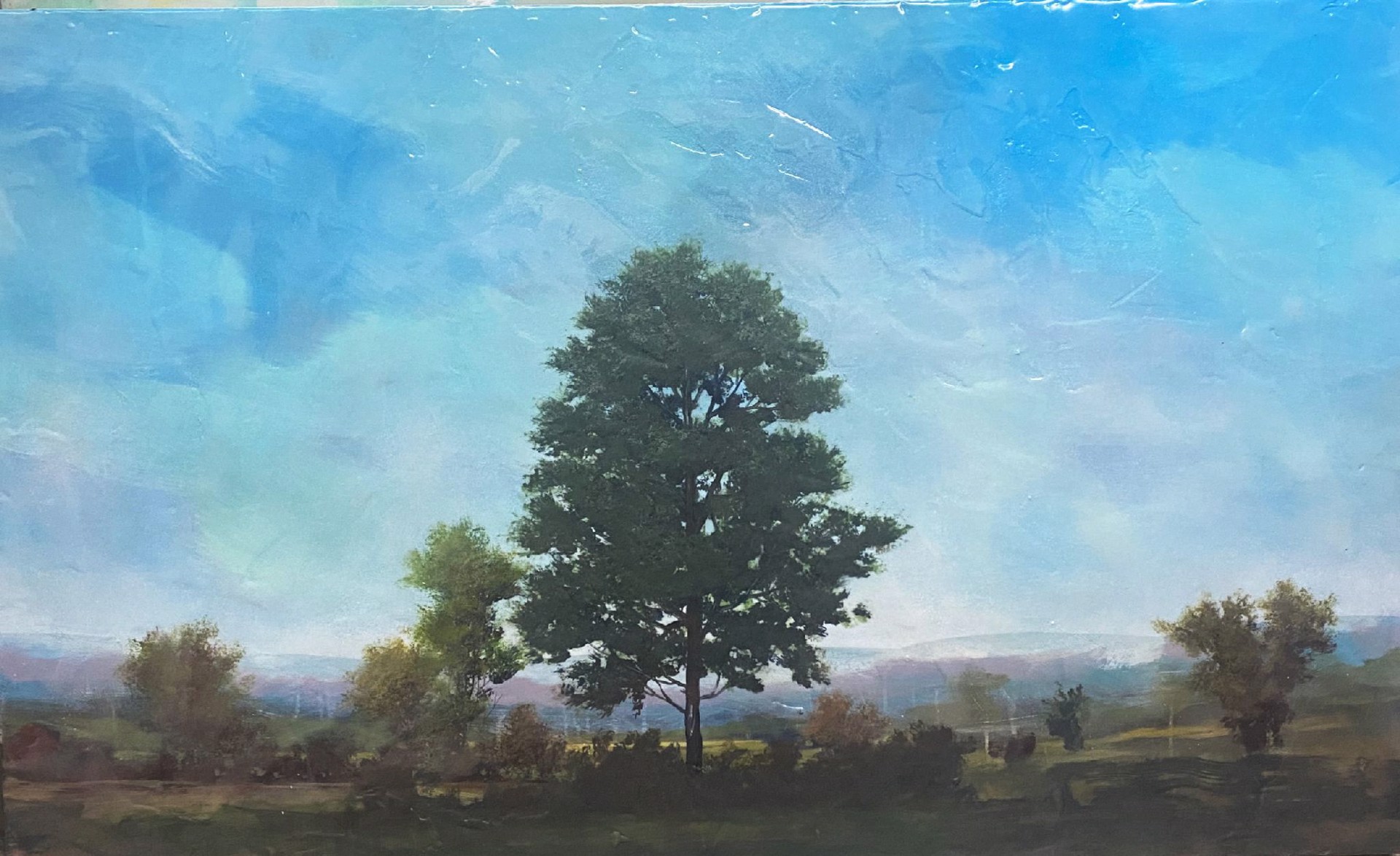 Oak by Peter Hoffer