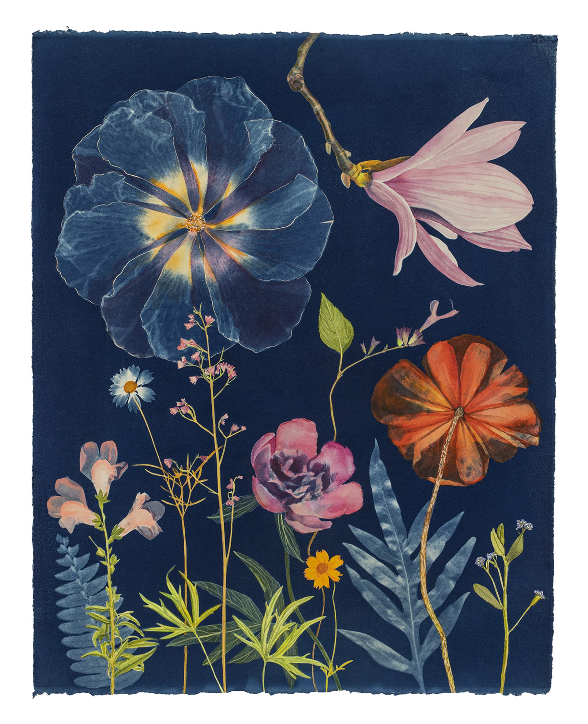 Picturesque Botany (Magnolia, Peony, Poppy, Coral Bells, etc.) by Julia Whitney Barnes