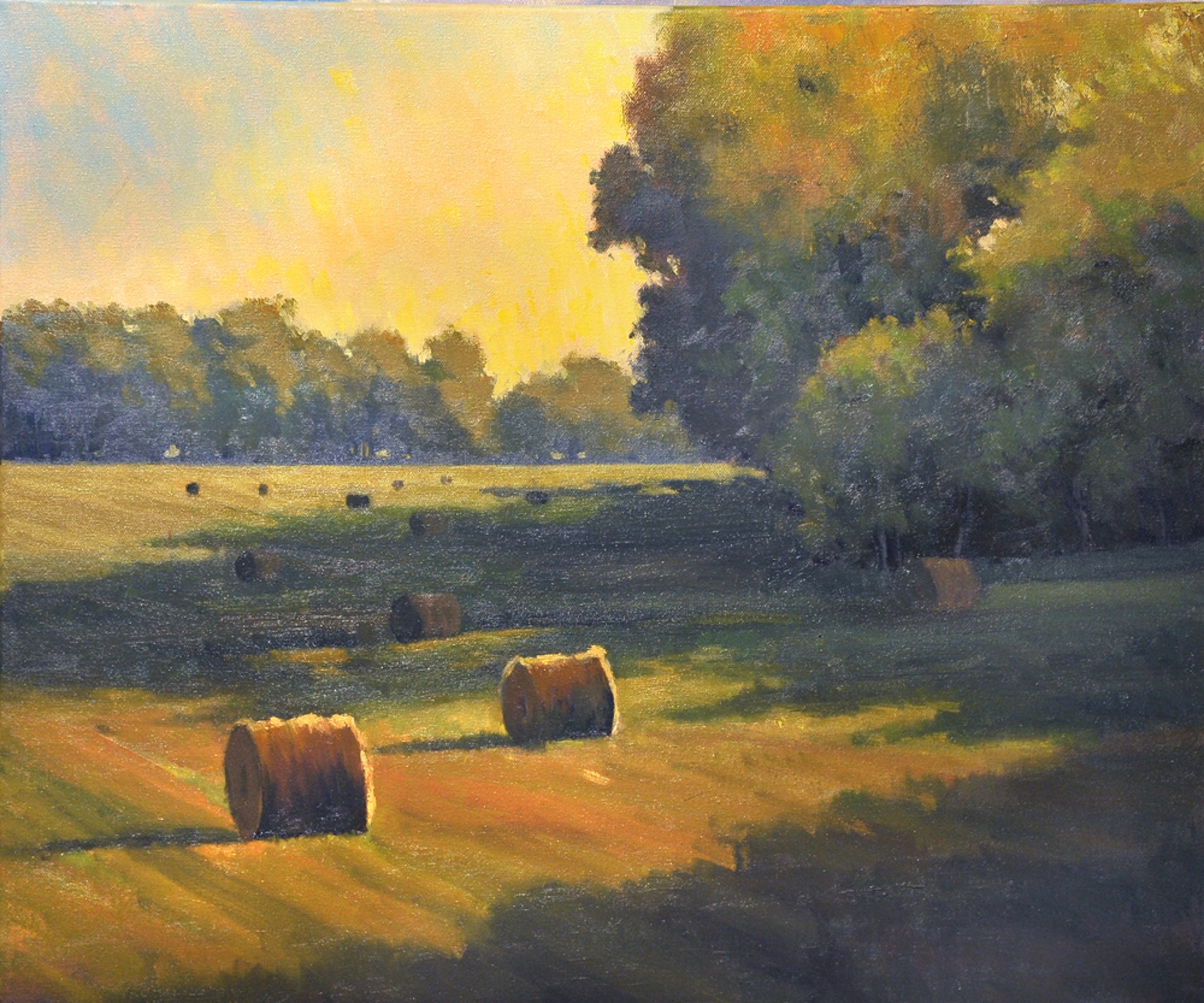 Morning Bales by Cristine Sundquist