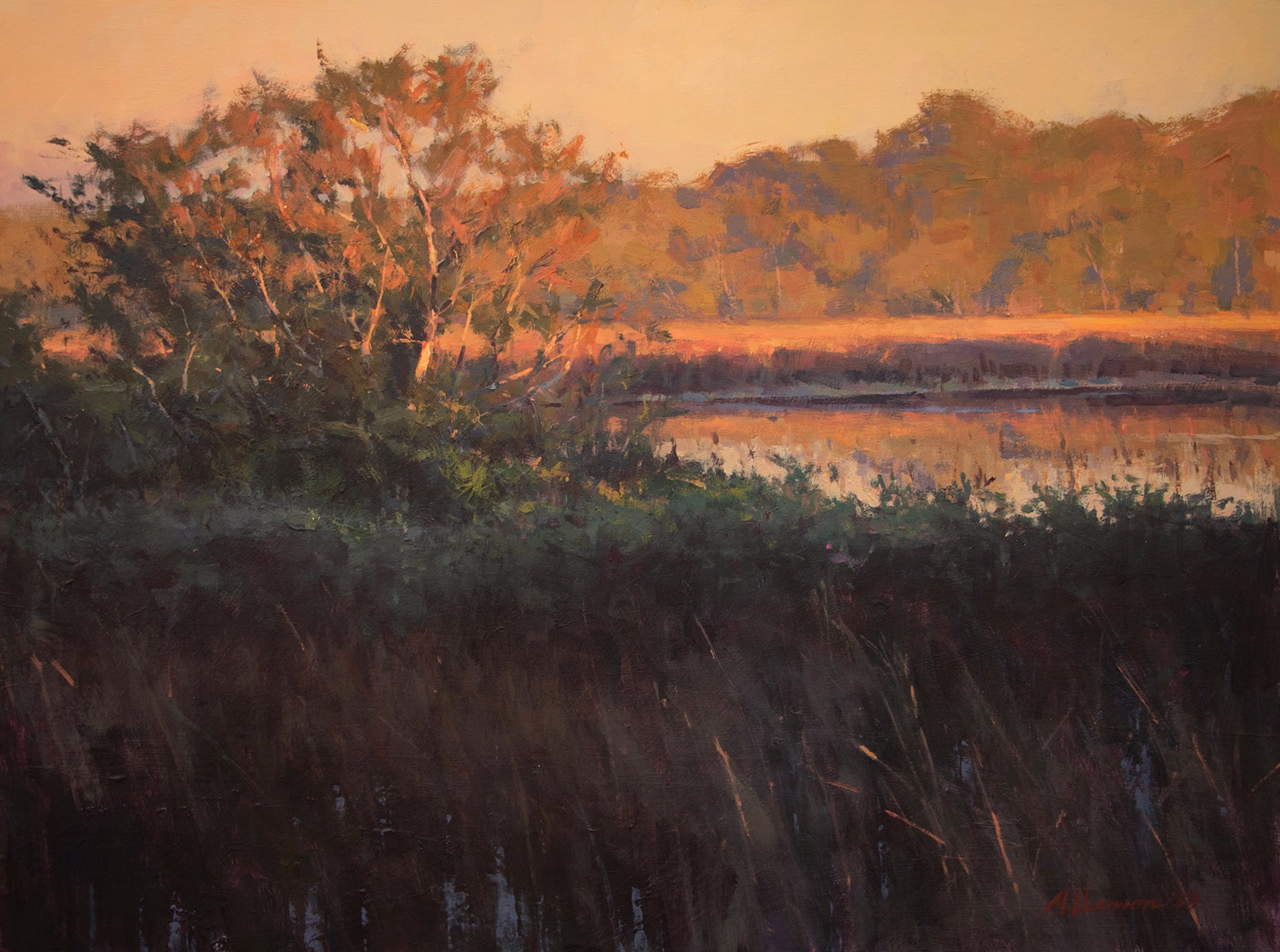 Warming Marsh by Marc Hanson, OPAM