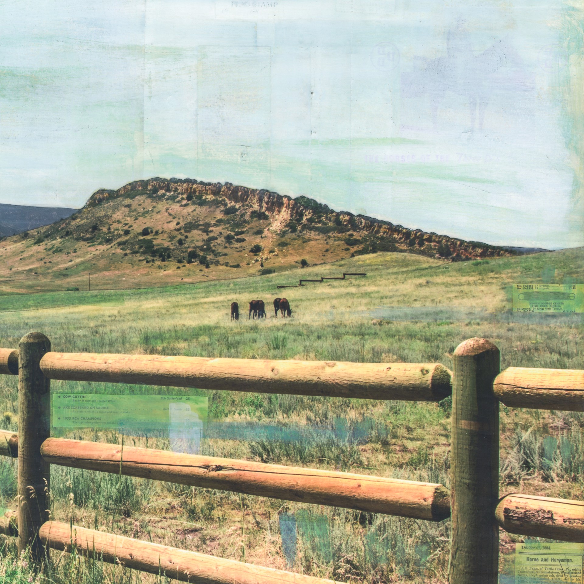 Fenced in Pasture by JC Spock