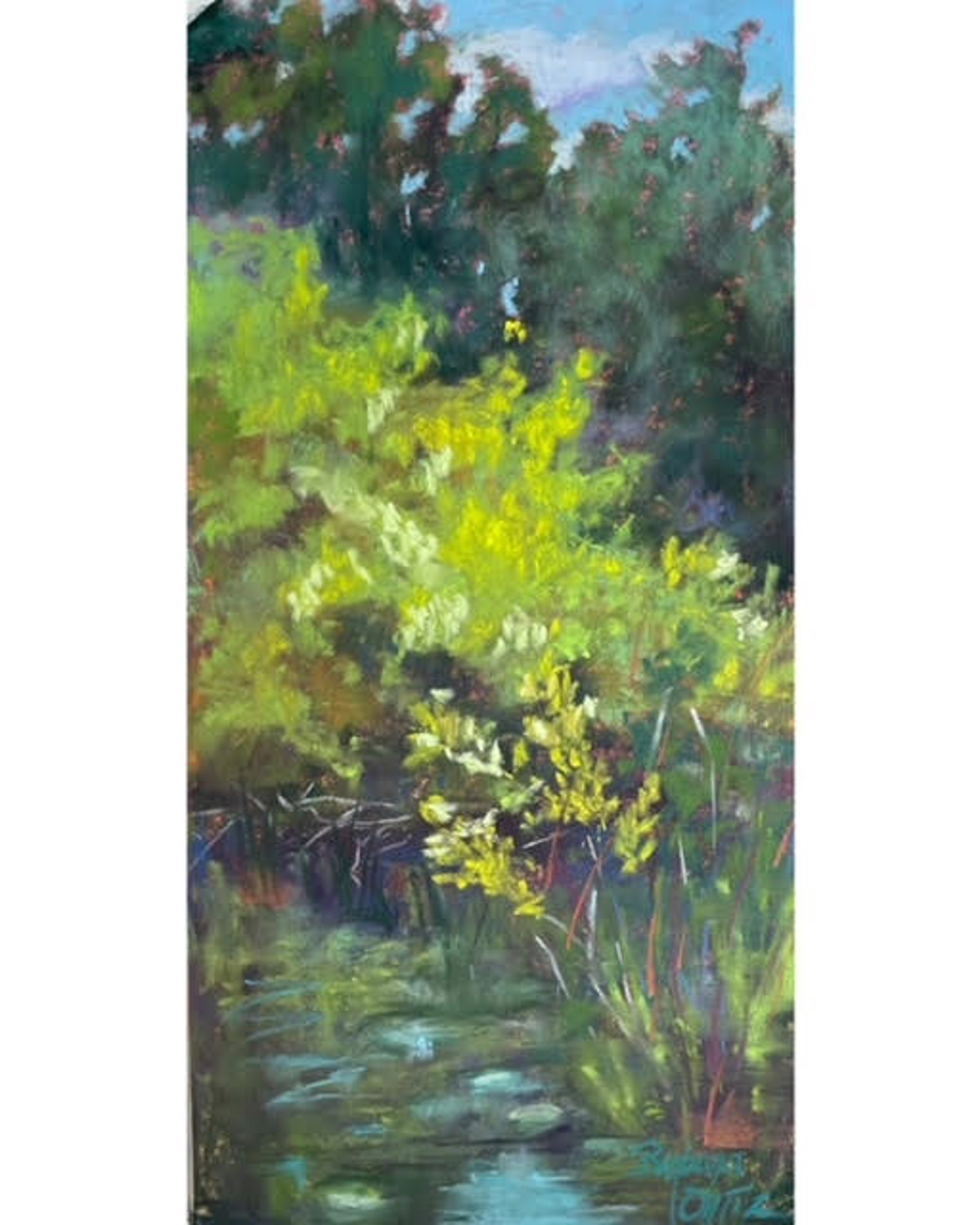 Backwaters - SOLD by Barbara Ortiz