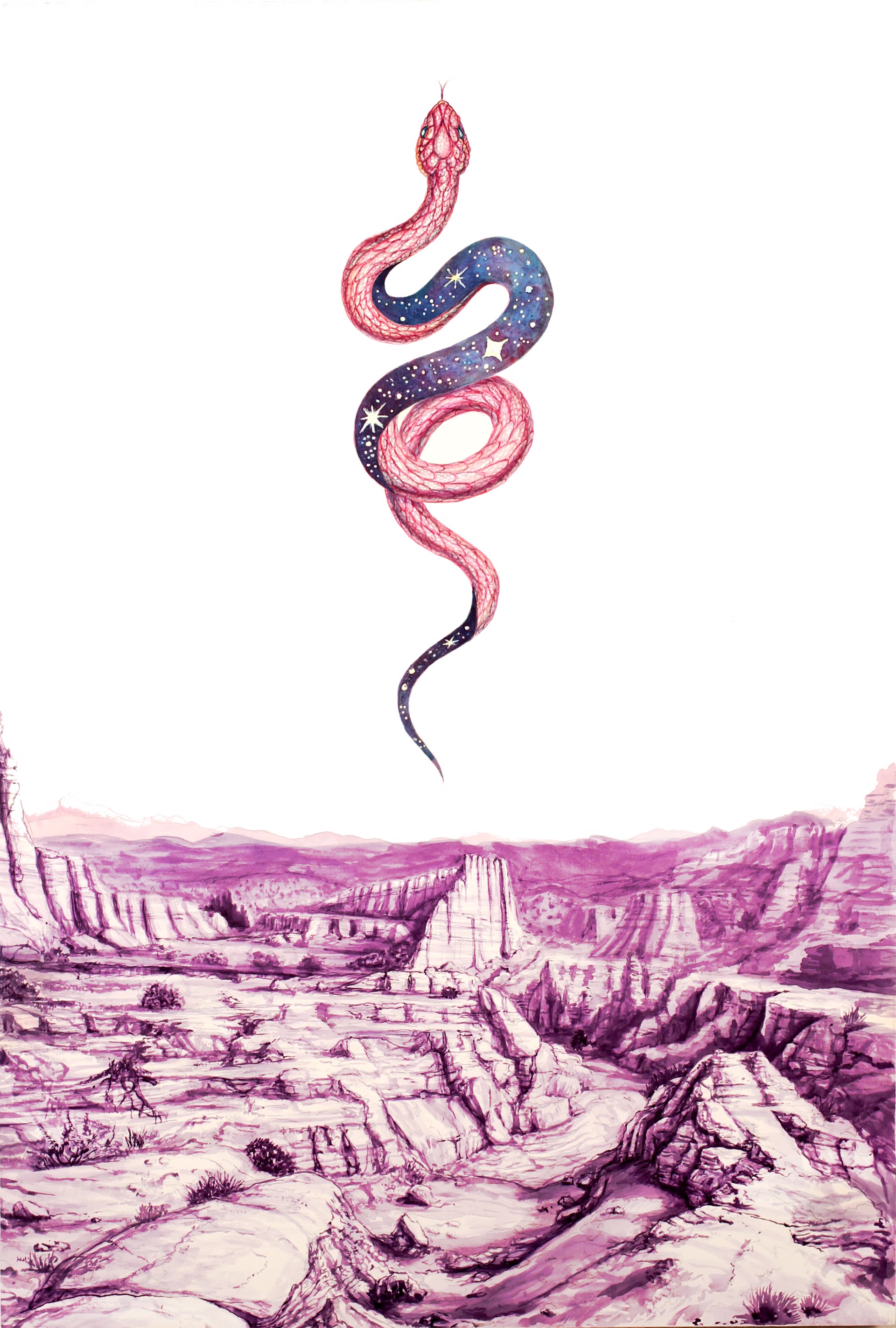 Sky Snake Over Plaza Blanca by Todd Ryan White