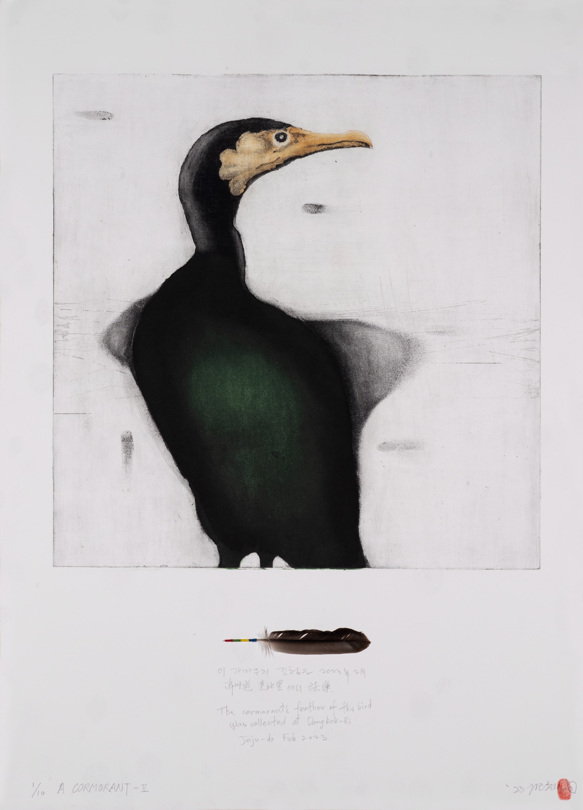 A Cormorant II by Gilchun Koh