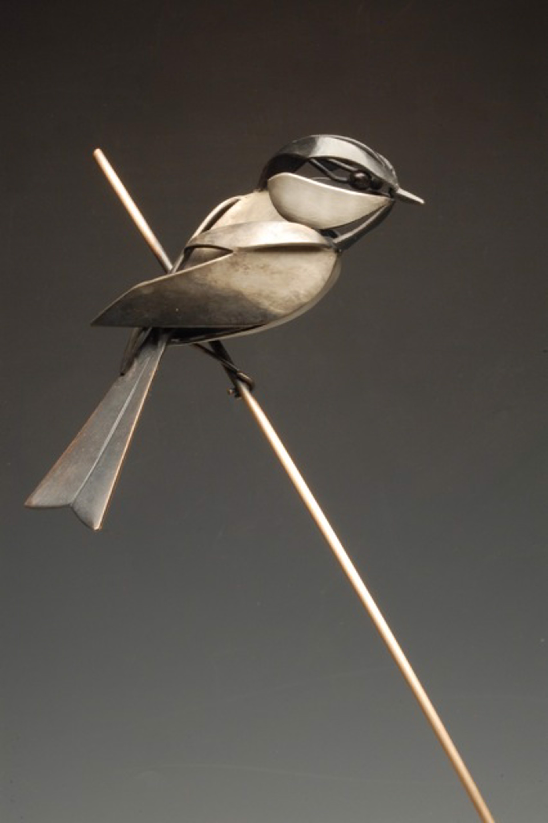 Black Capped Chickadee and Elderberries by Don Rambadt