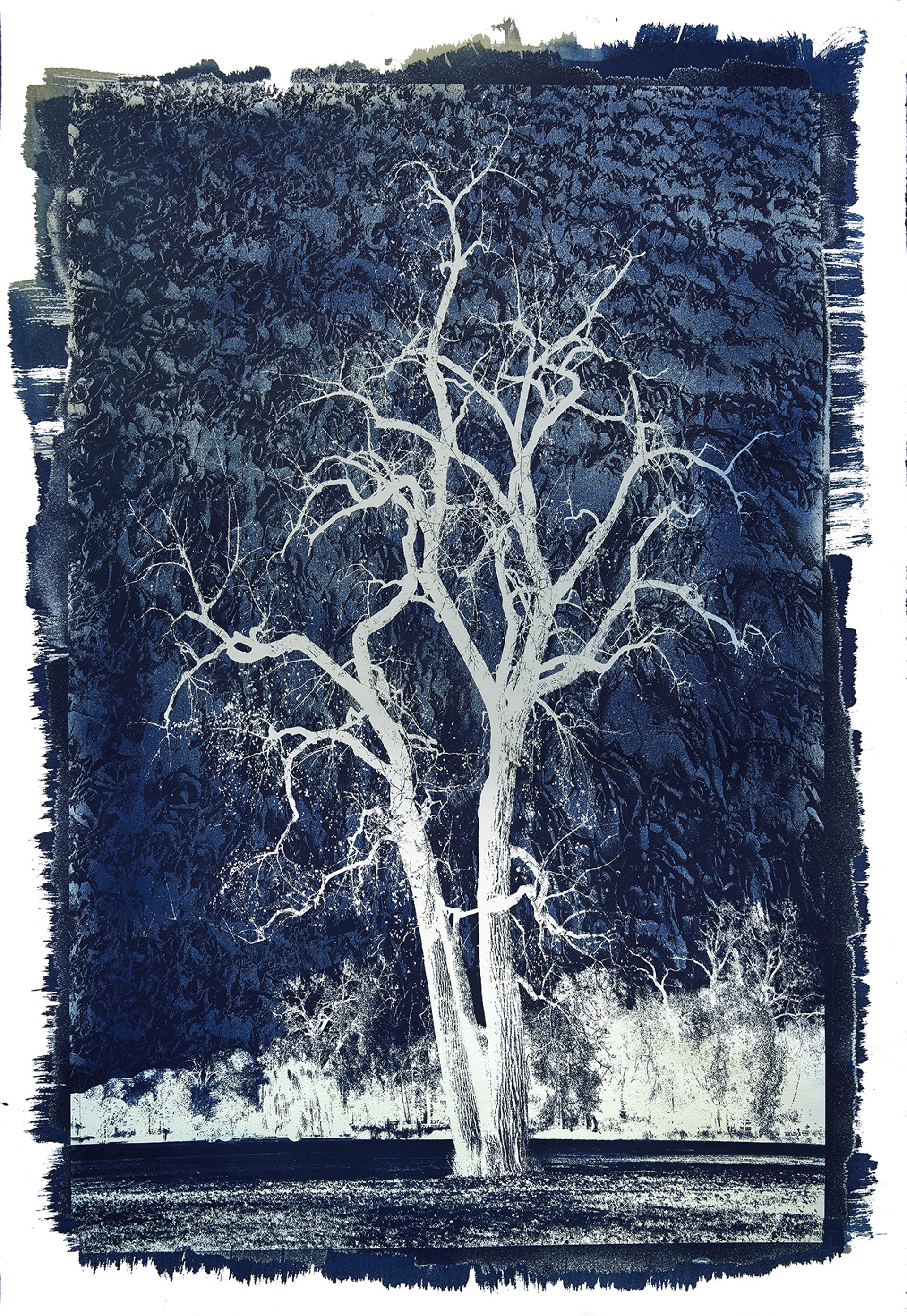 Cyanotype #63 by Michael Eastman