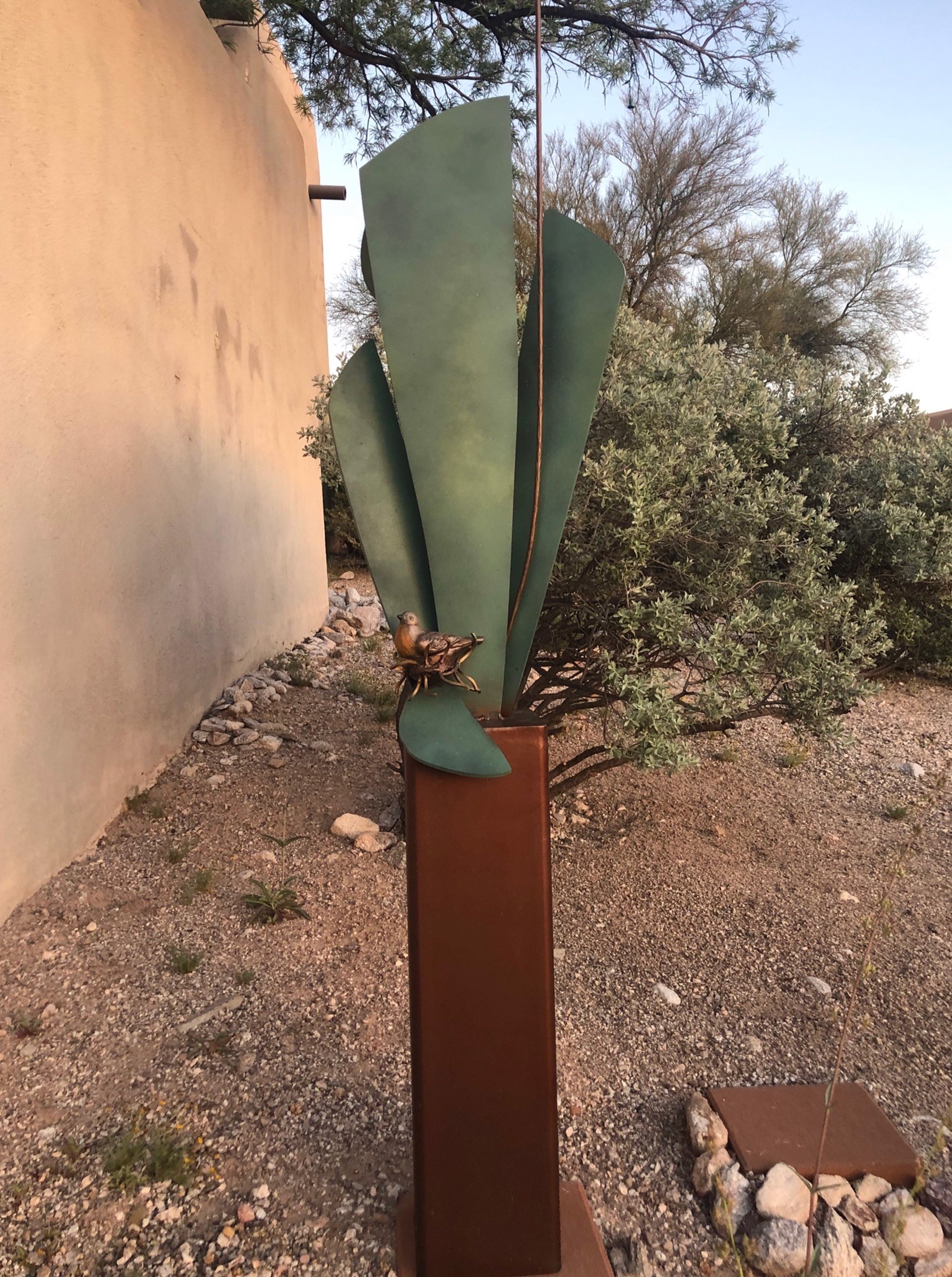 Saguaro and Bird by Pamela Ambrosio
