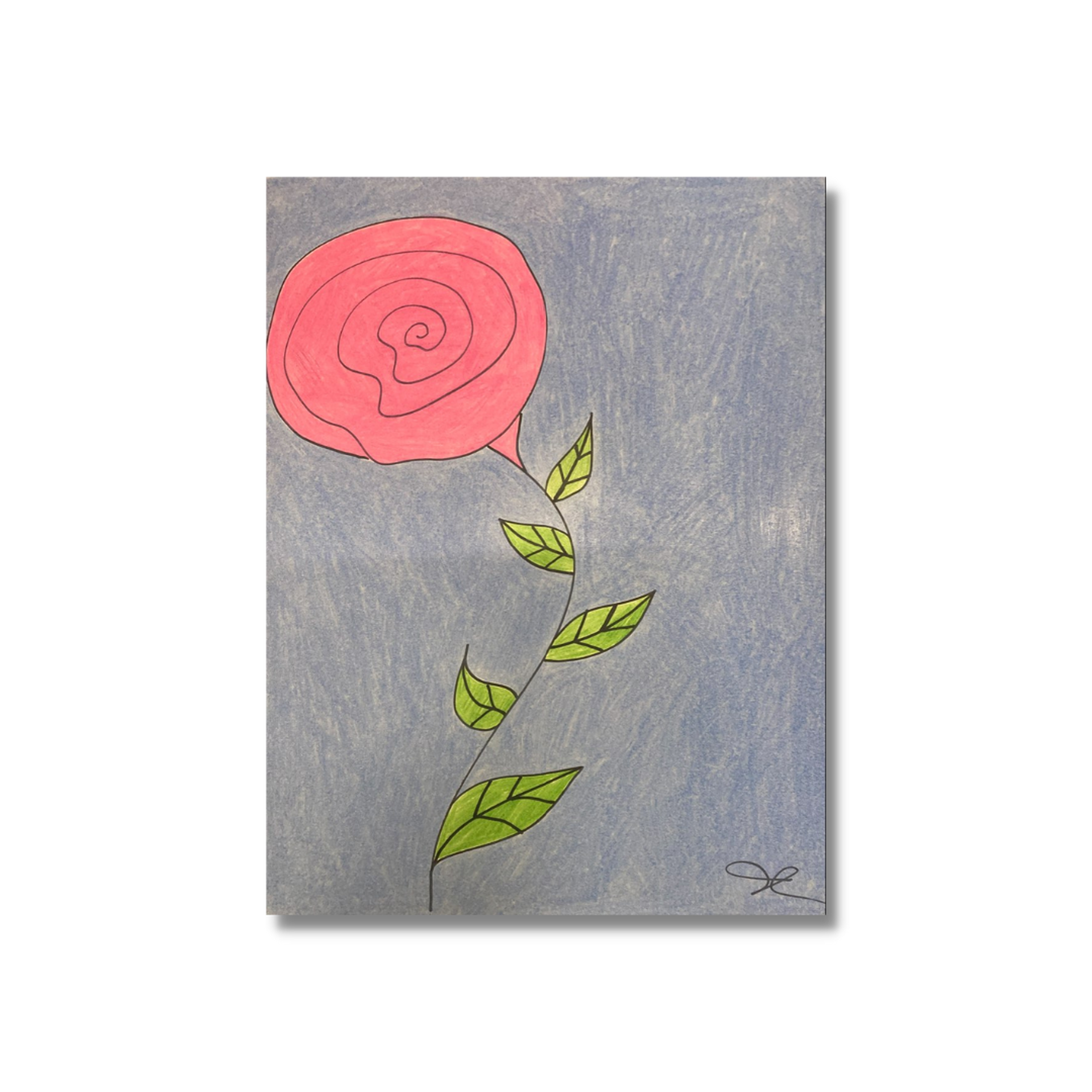 A Pink Rose by Jenny Chan