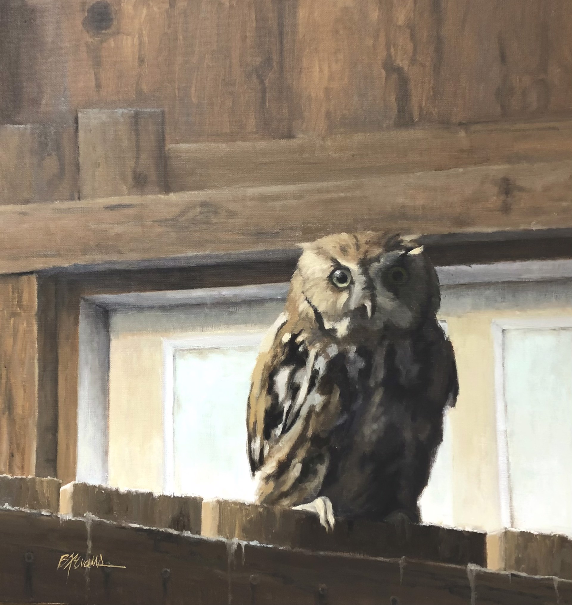Screech Owl by Beverly Ford Evans