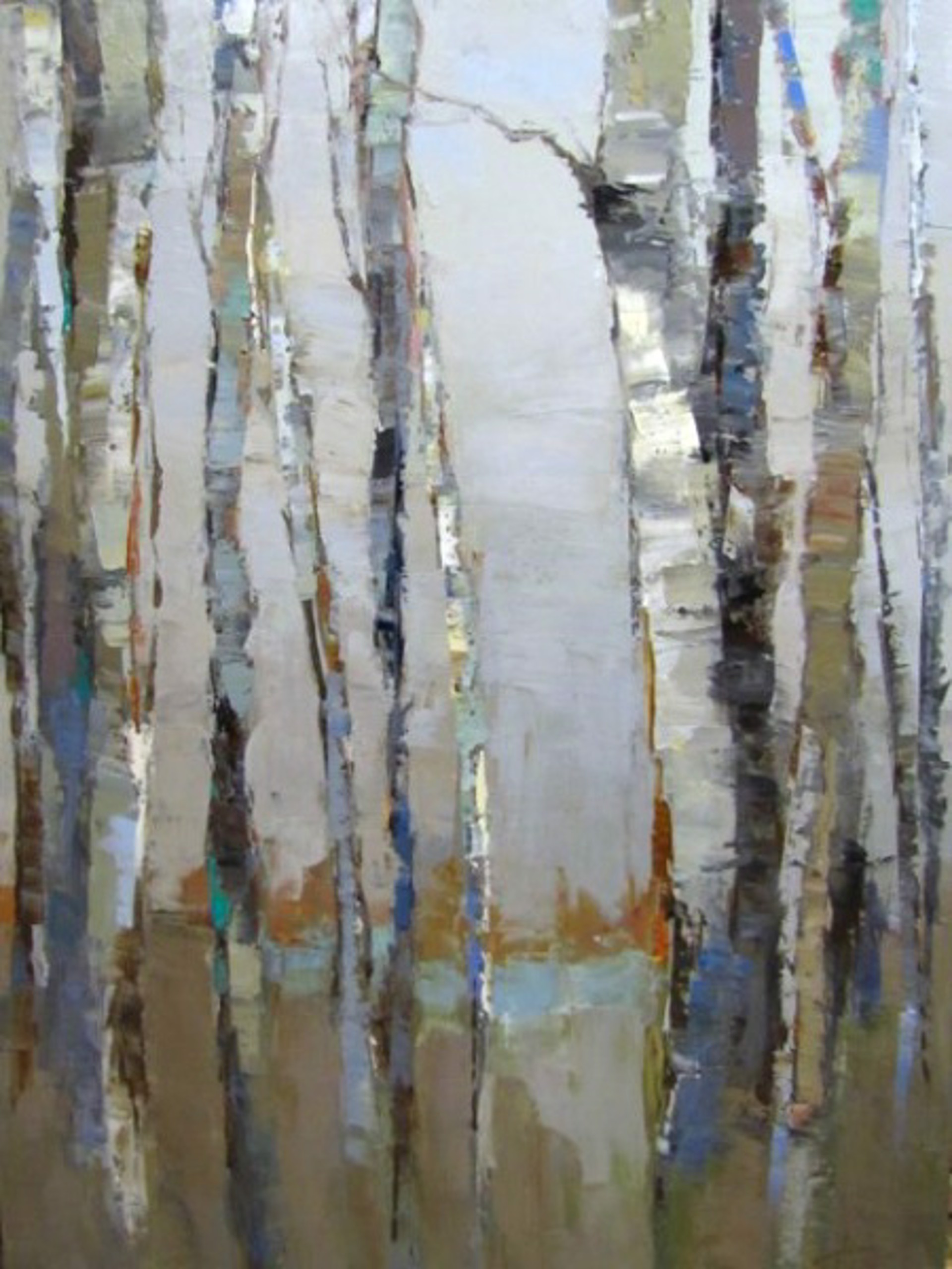 Birch Shapes & Colors by Barbara Flowers