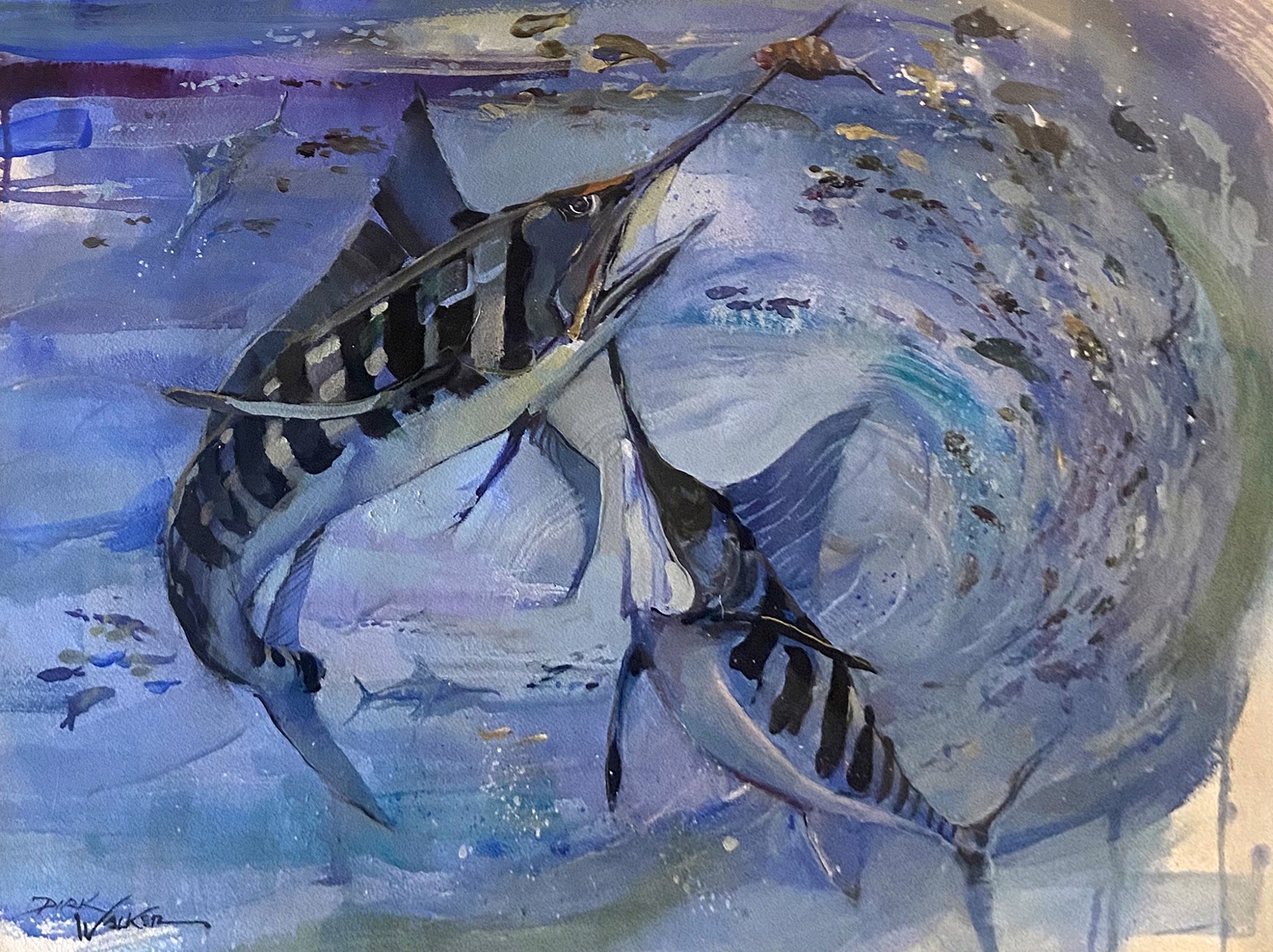 Spear Fishing - Striped Marlin by Dirk Walker