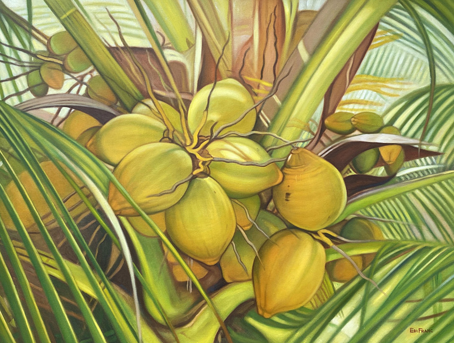 Coconuts by Edyta Franczak