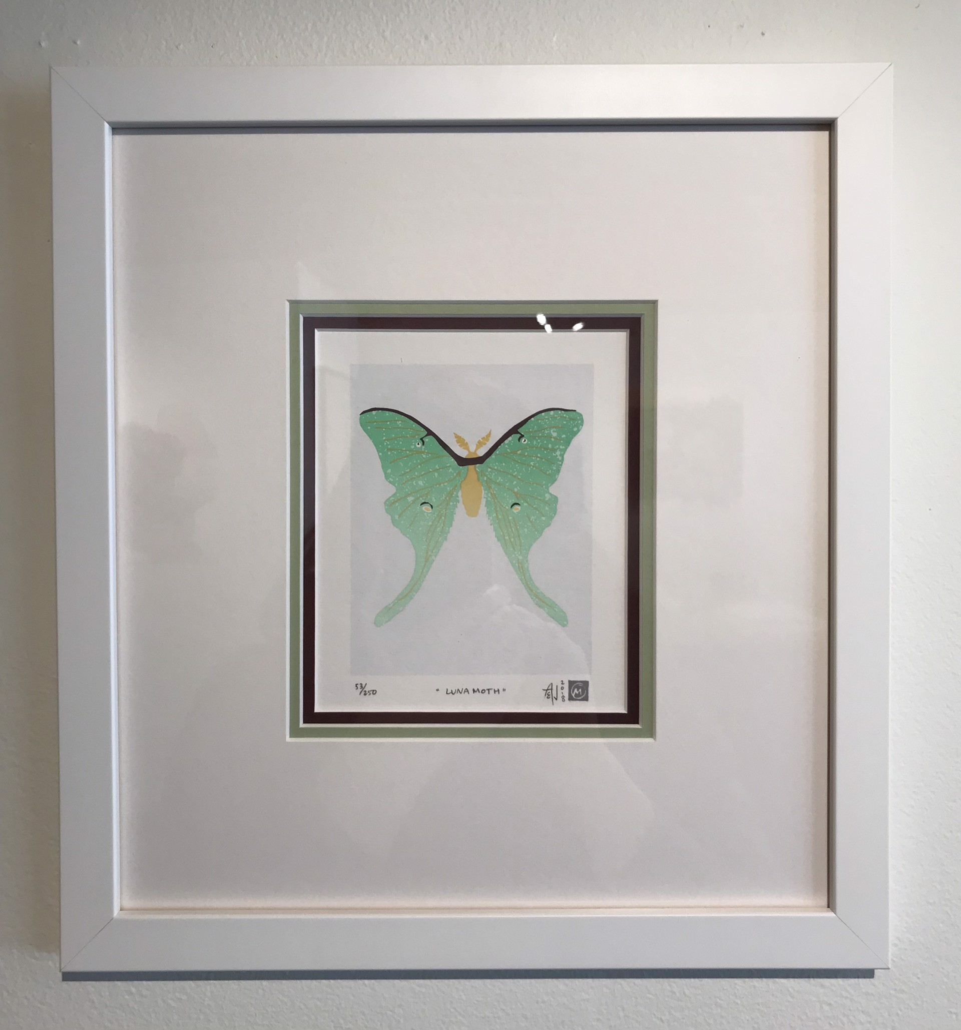 Luna Moth by Allison & Jonathan Metzger