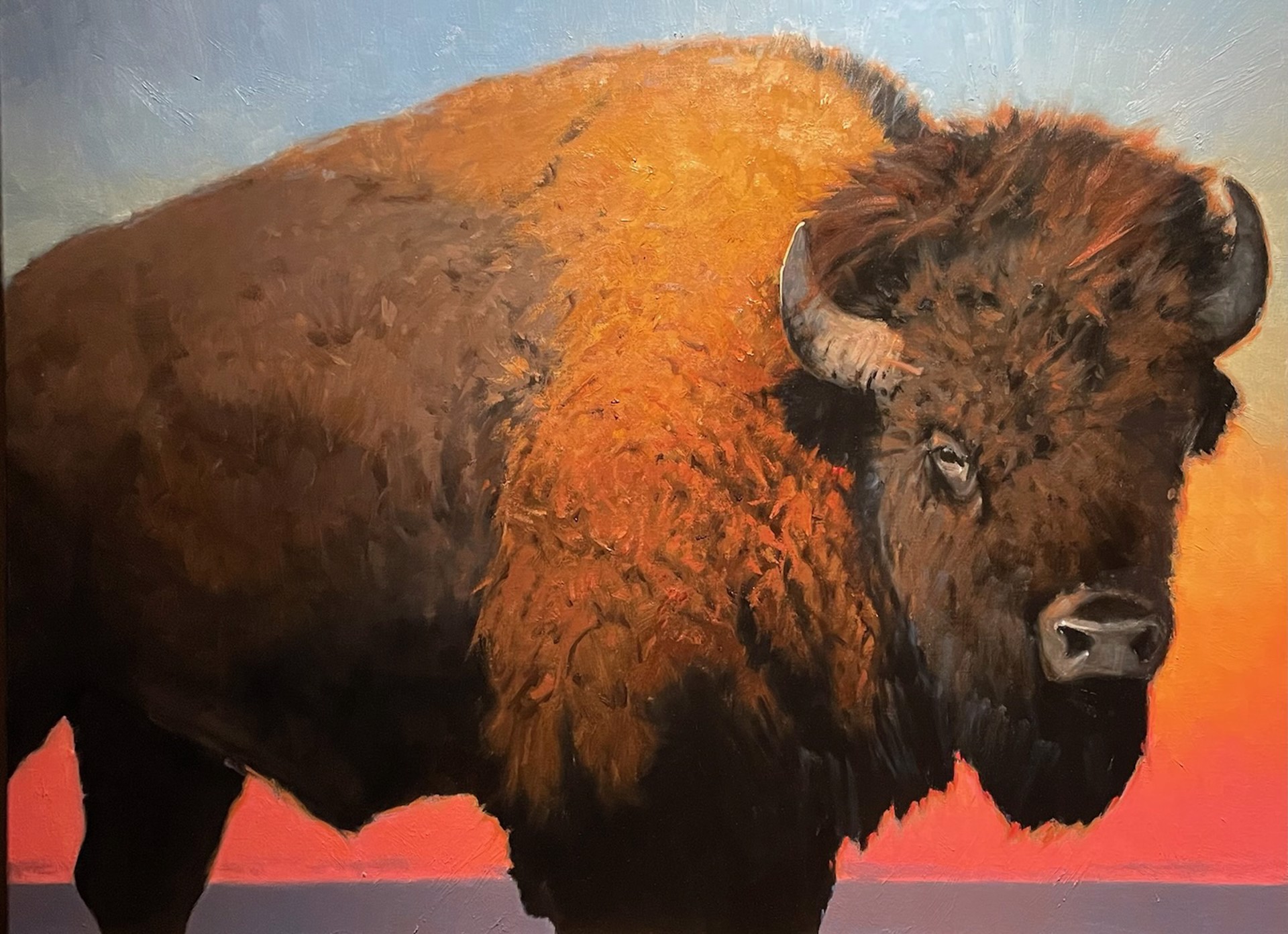 AMERICAN BISON by Mark Gibson
