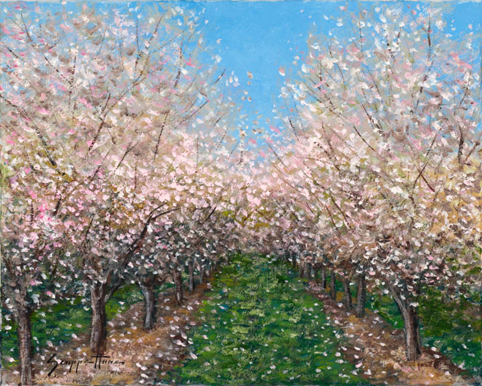 Almond Blossom by James Scoppettone