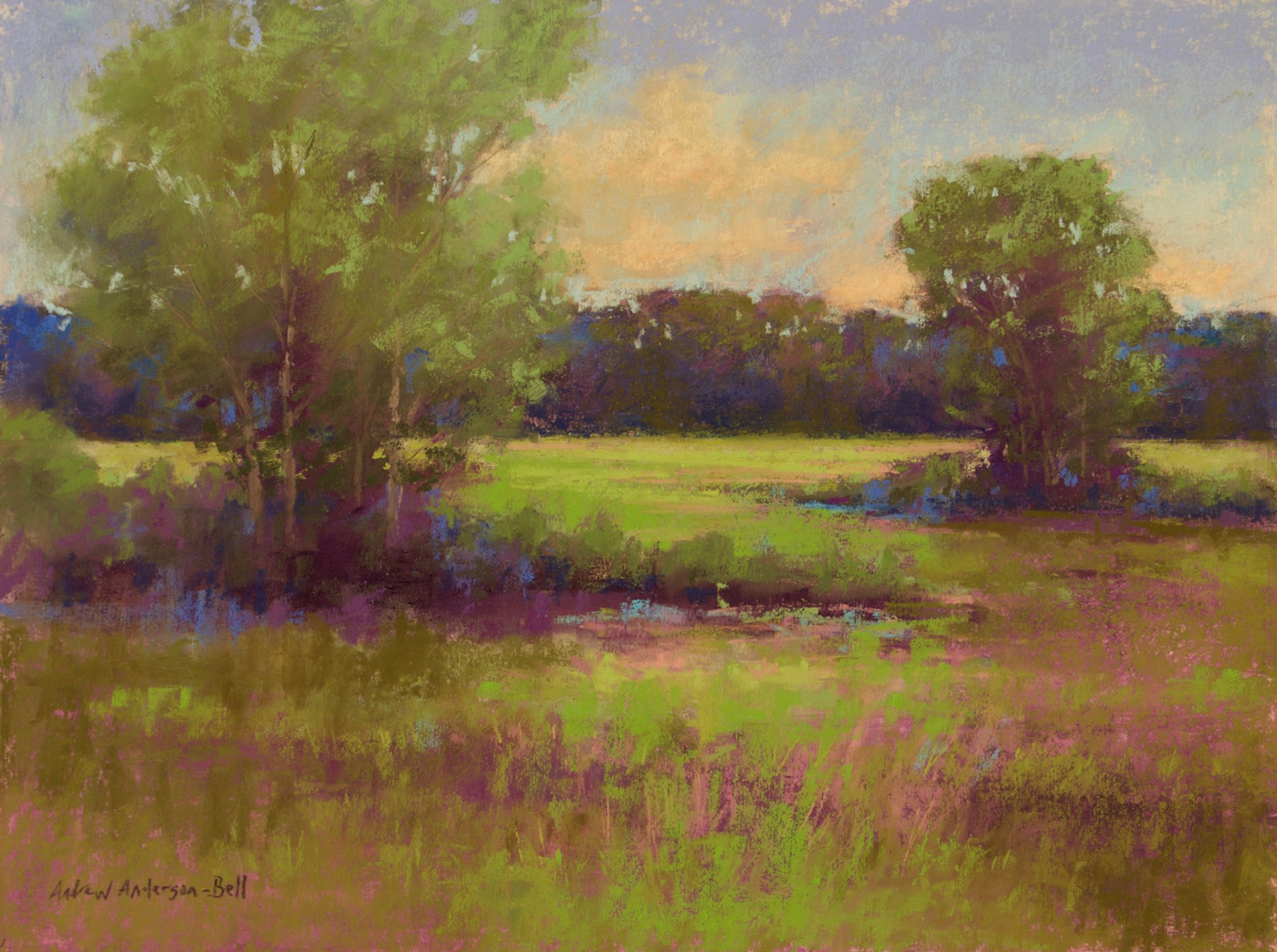 Spring Marsh Greens by Andrew Anderson-Bell