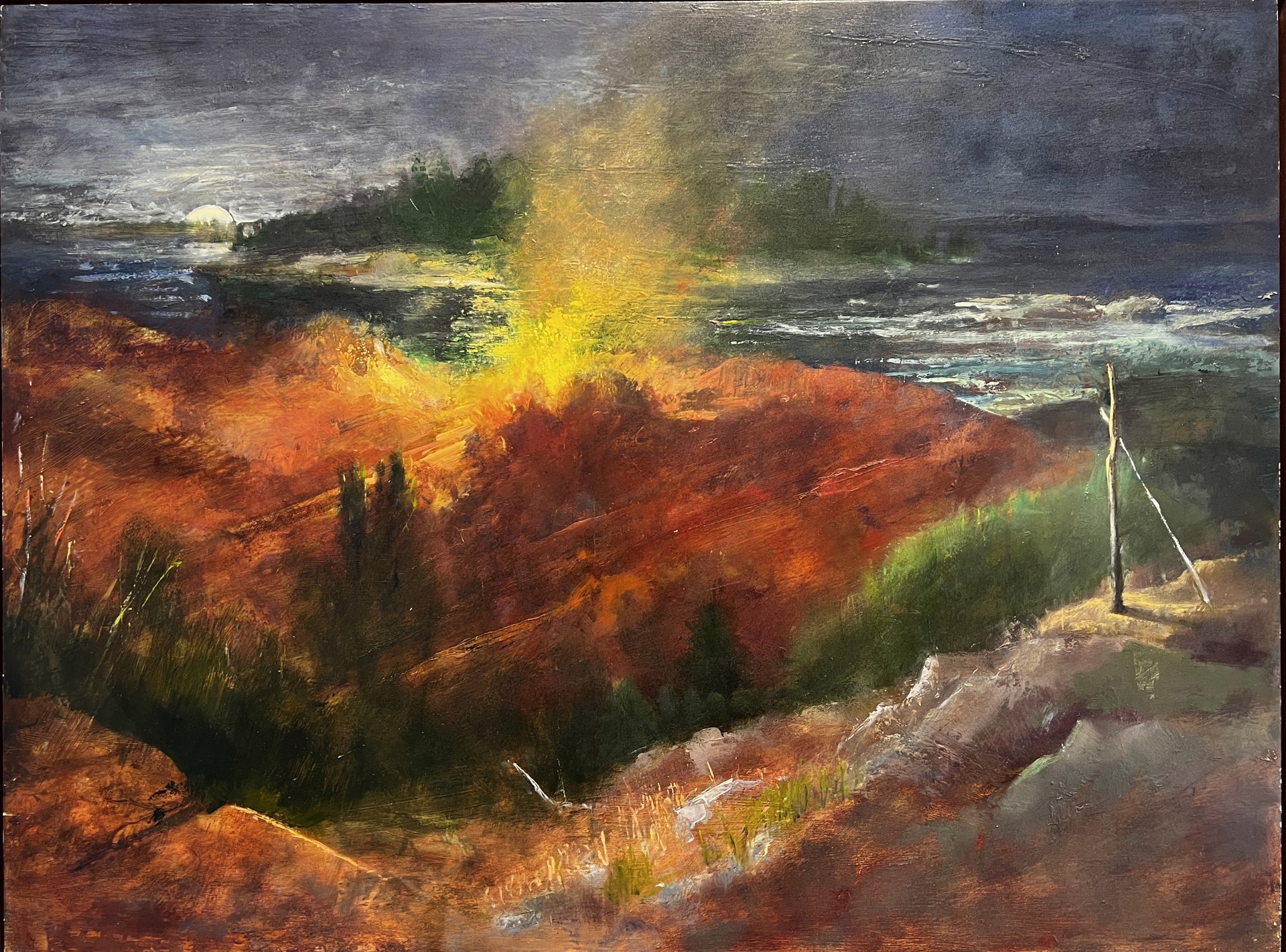 Coastal Moonrise and Fire by Donald Beal