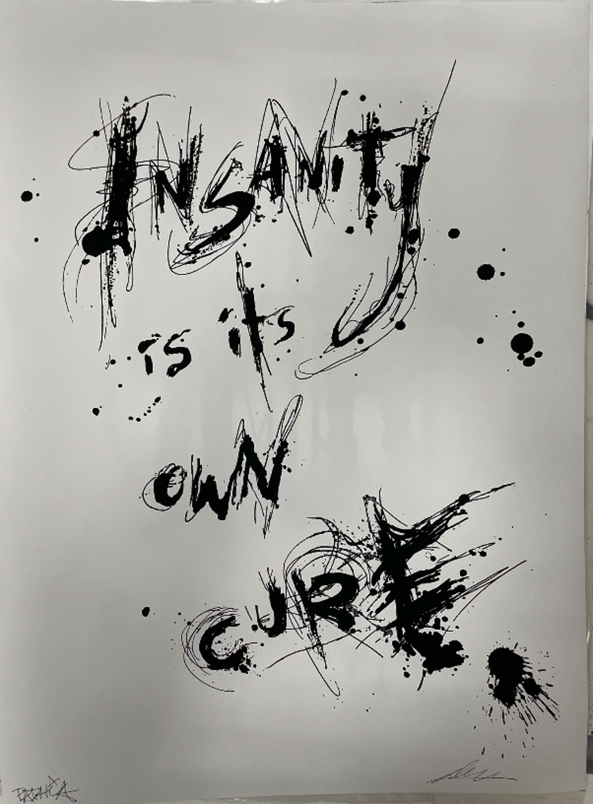 Insanity Is It's Own Cure by Duel Diagnosis