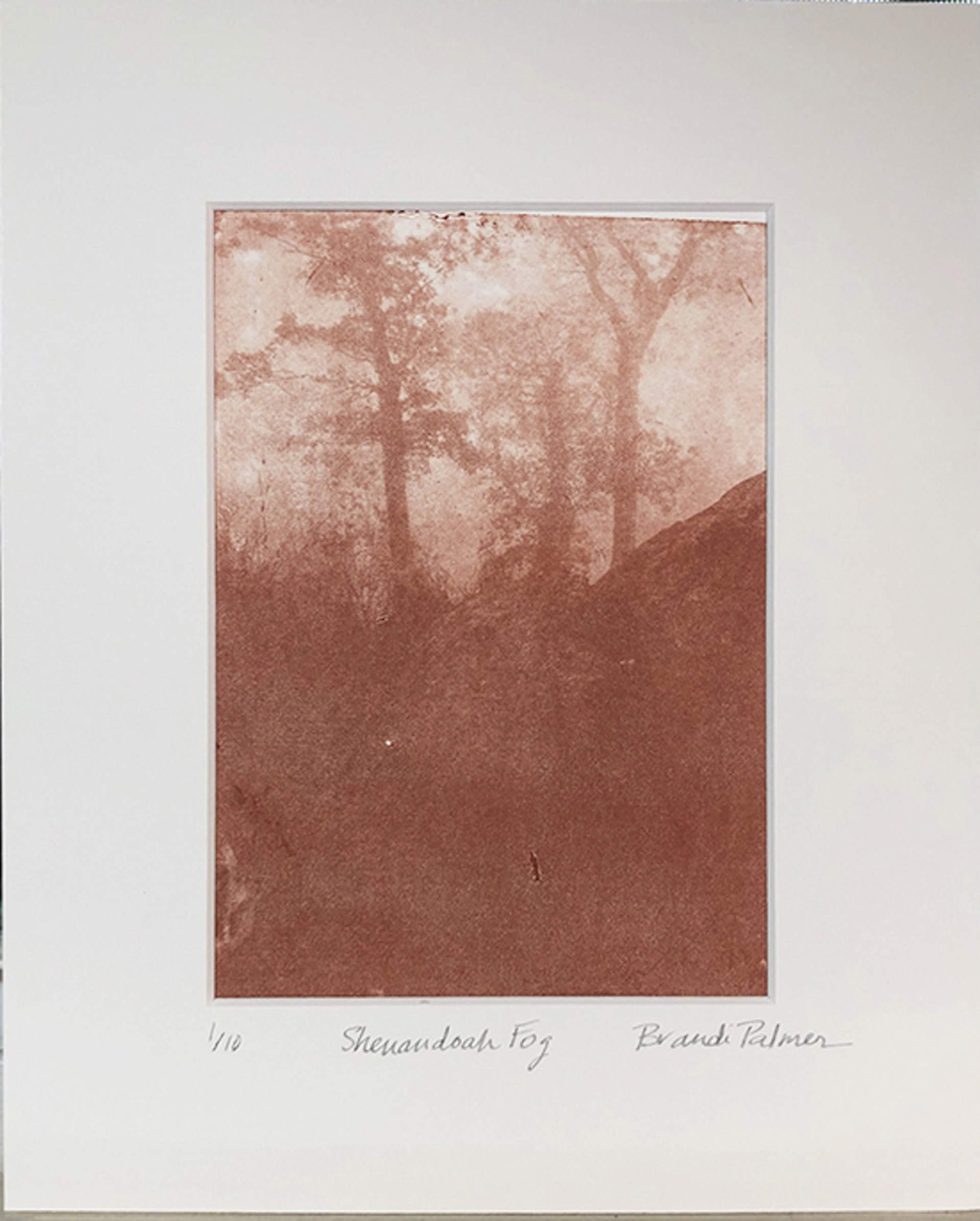 Shenandoah Fog by Brandice Palmer