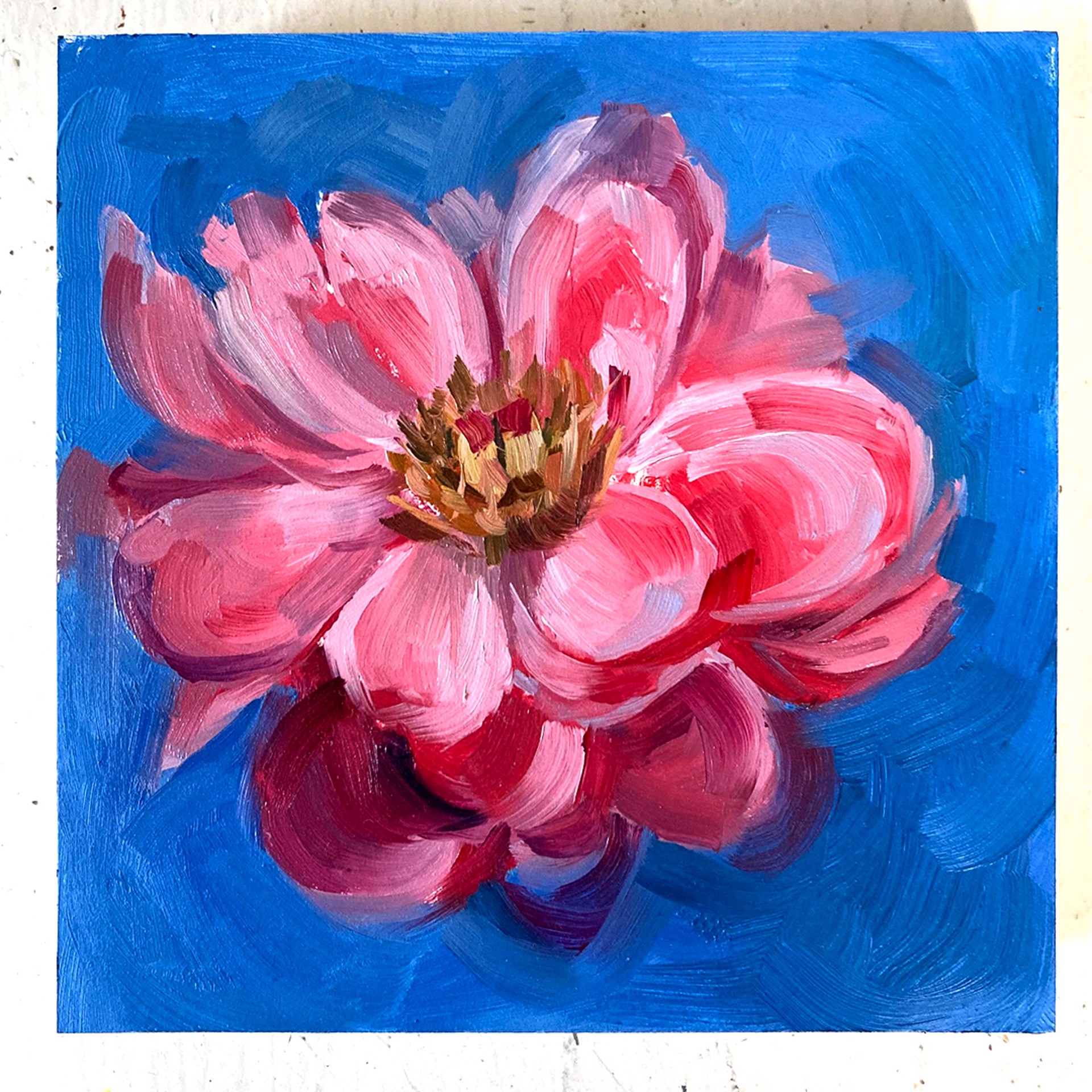 Peony Project #22 by Amy R. Peterson*
