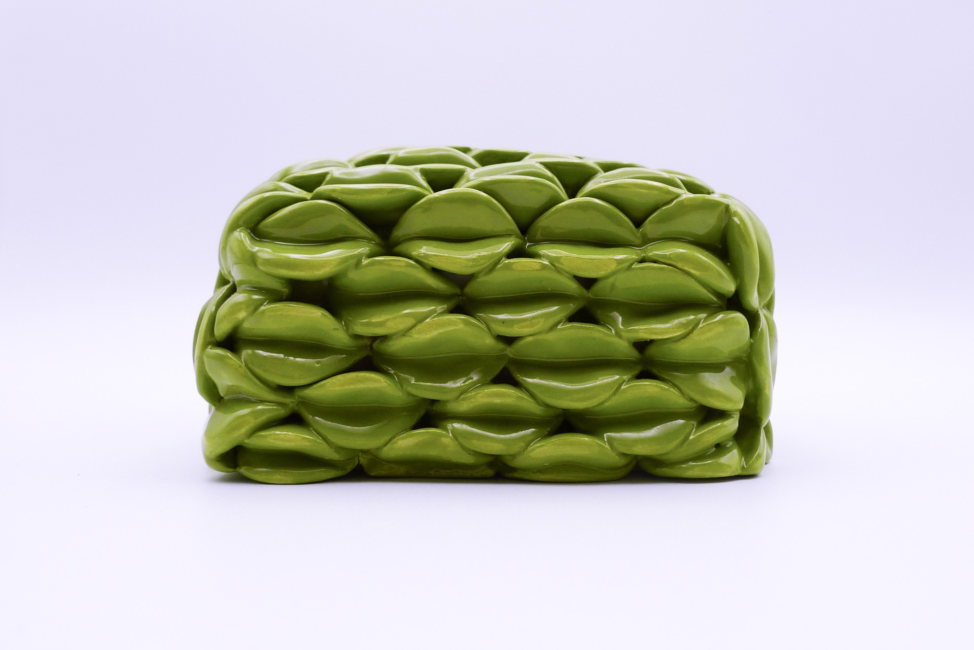 Shiny Green Leaves Wall Box by Rachelle Miller