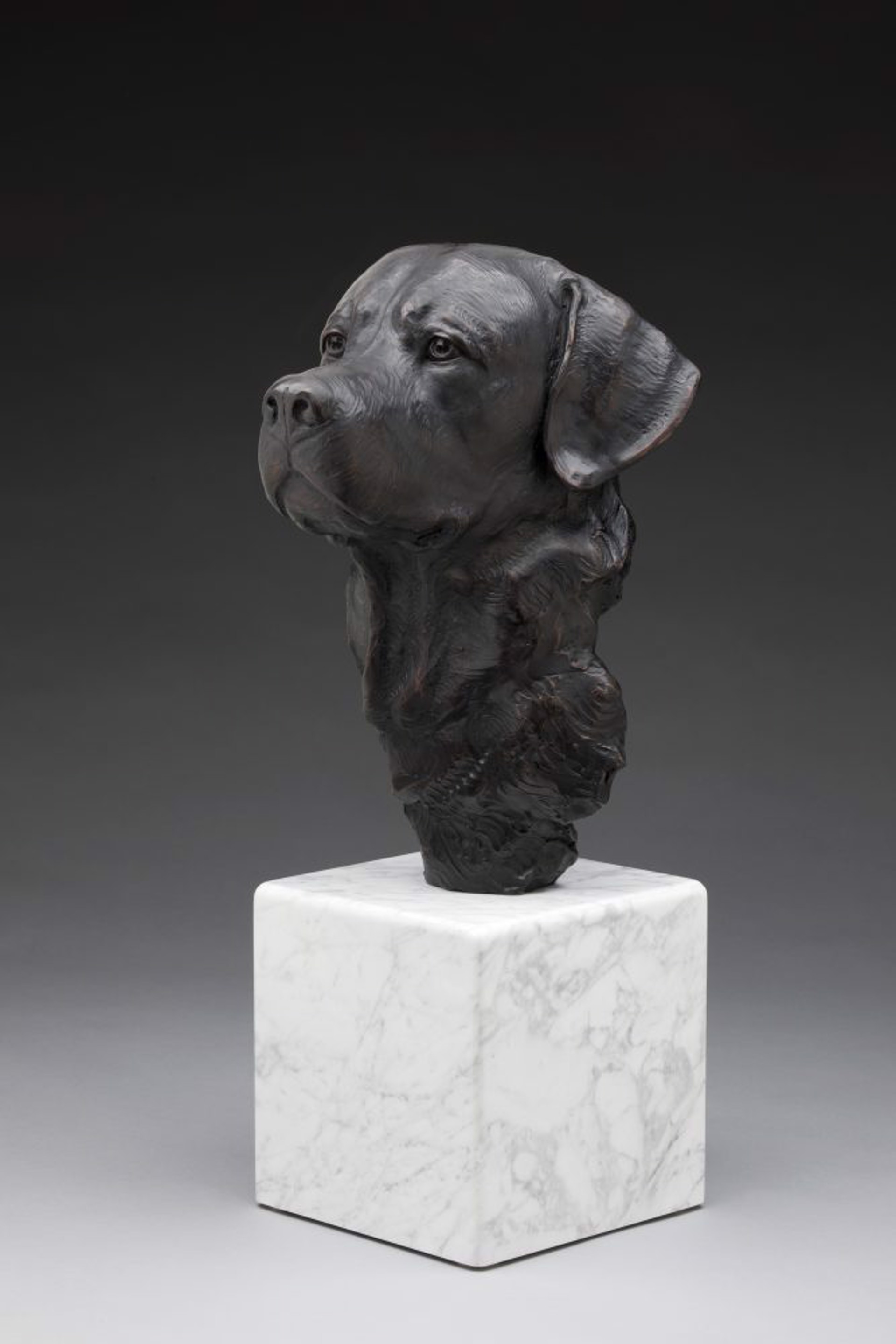 Faithful Heart  Labrador (Ed.10) by Daniel Glanz (sculptor)
