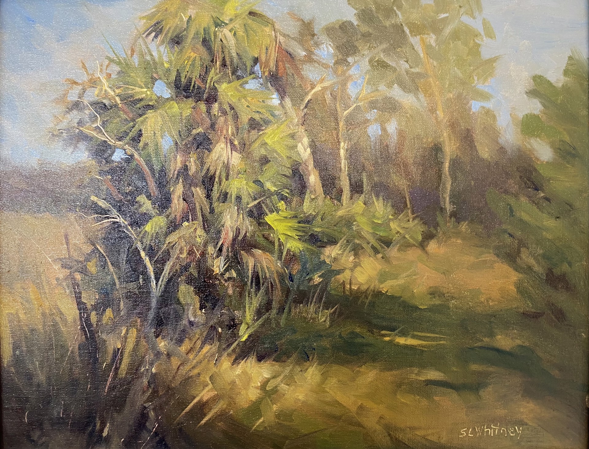 Palms Path by Sherry Whitney