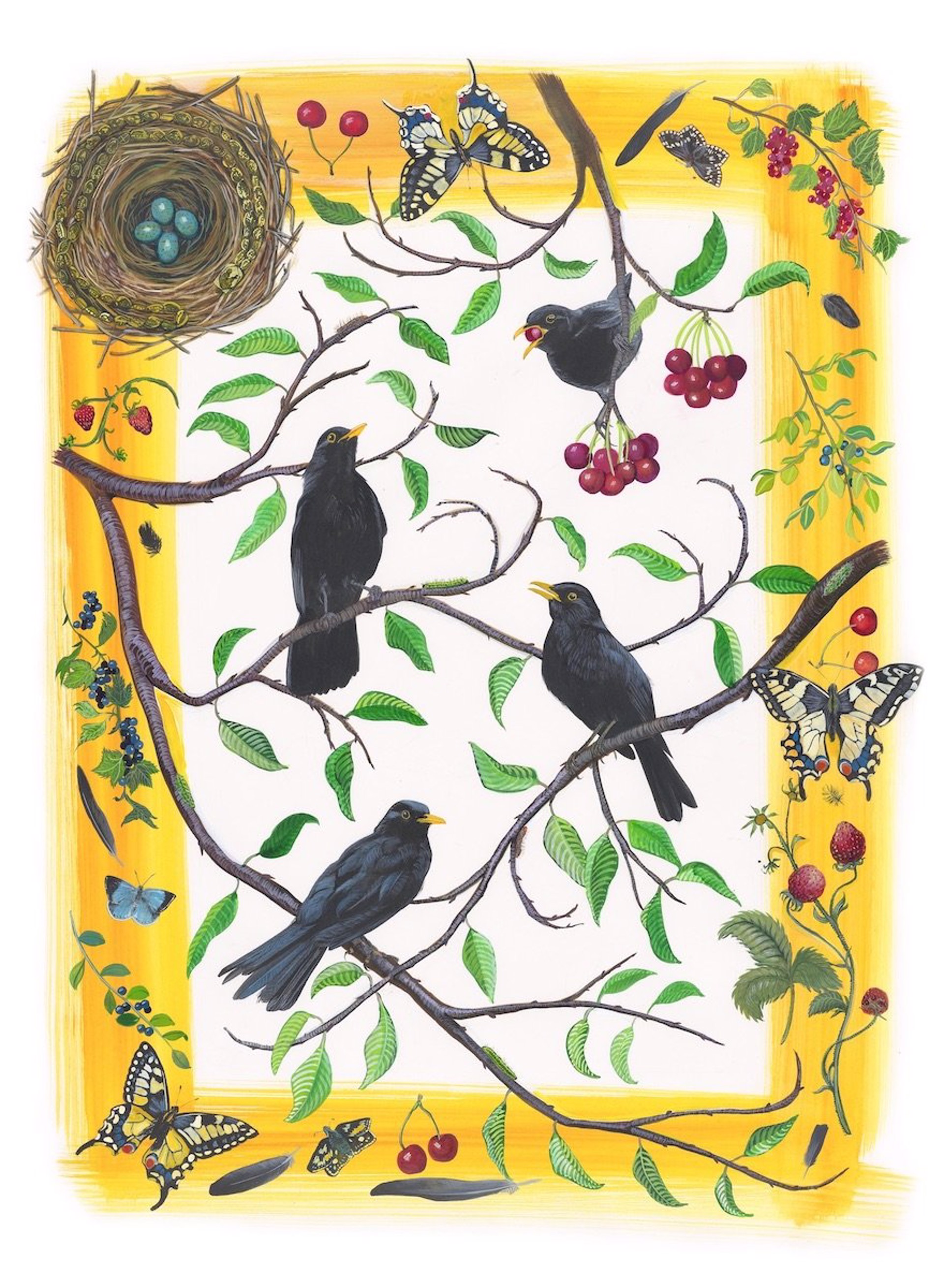Birds of Shakespeare: Eurasian Blackbird by Missy Dunaway