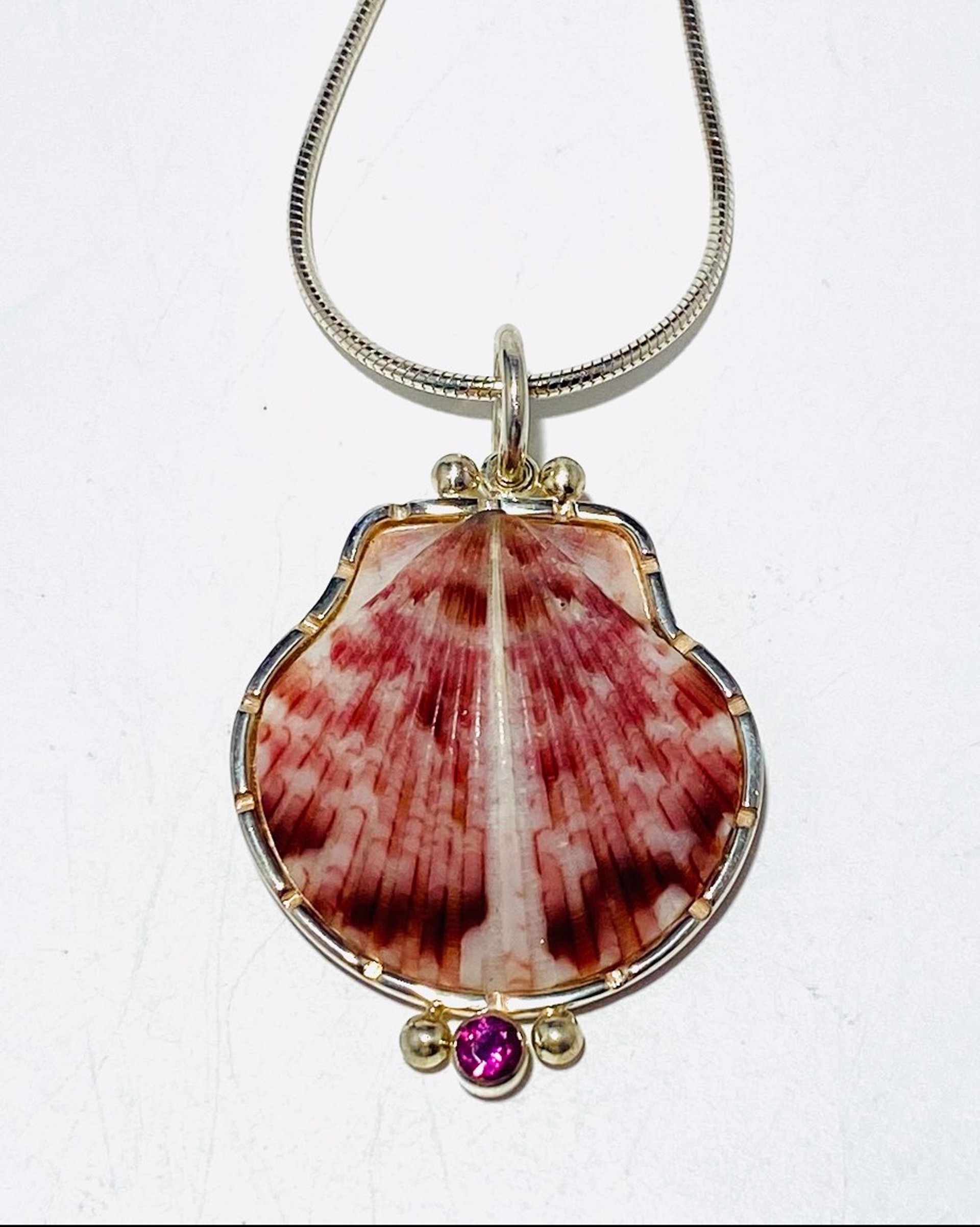 Calico Scallop Shell With Rhodolite Garnet Pendant on 18"Italian Silver Omega Chain Necklace by Barbara Umbel