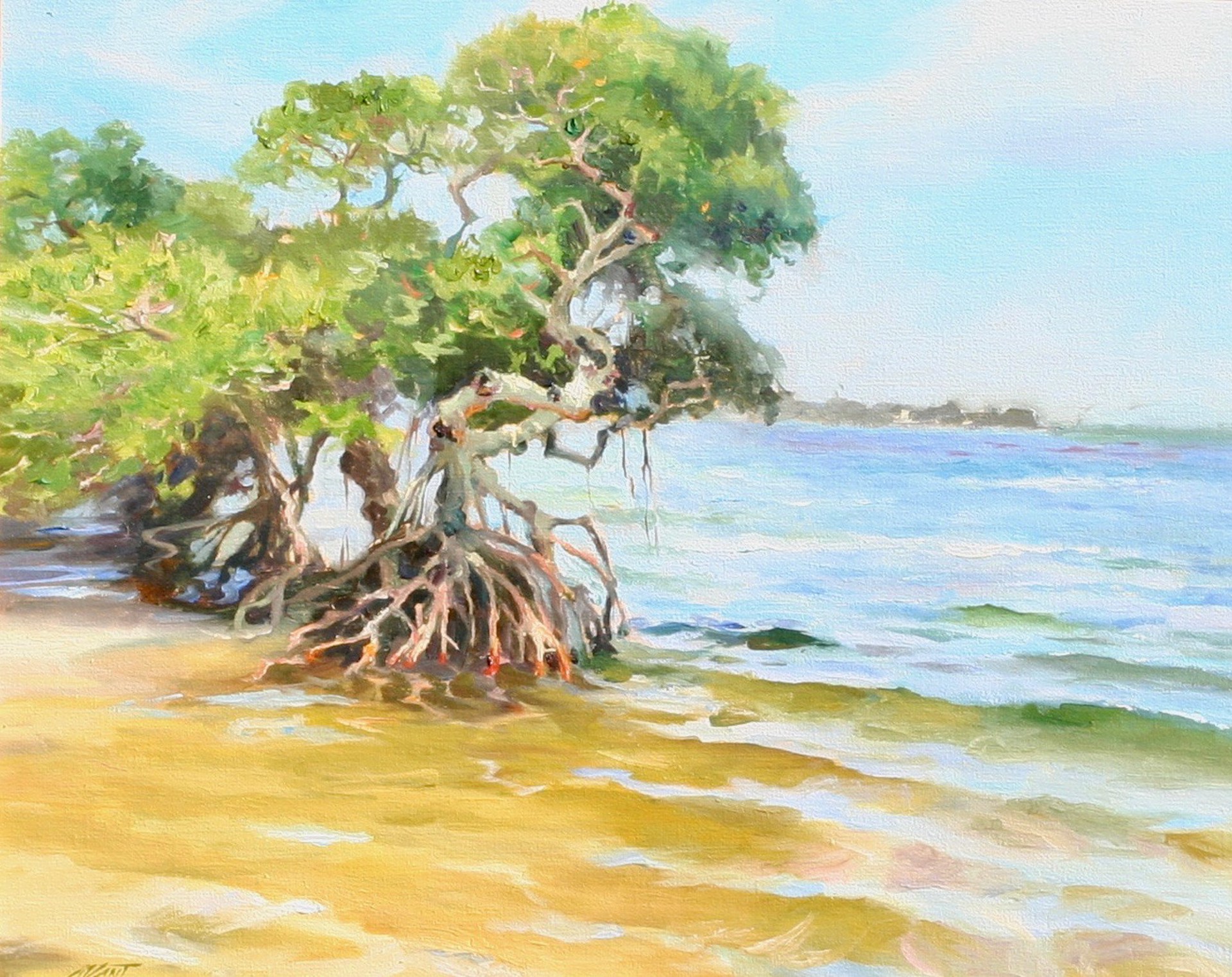 Mangroves by Dominic Avant