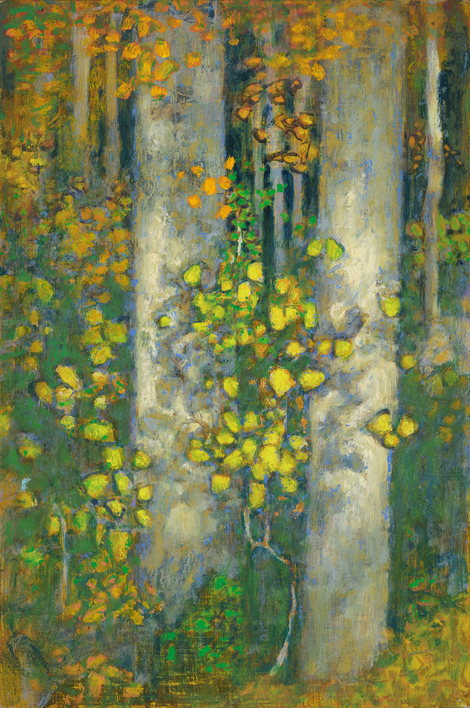 Twin Trunks, Yellow Leaves by Rick Stevens