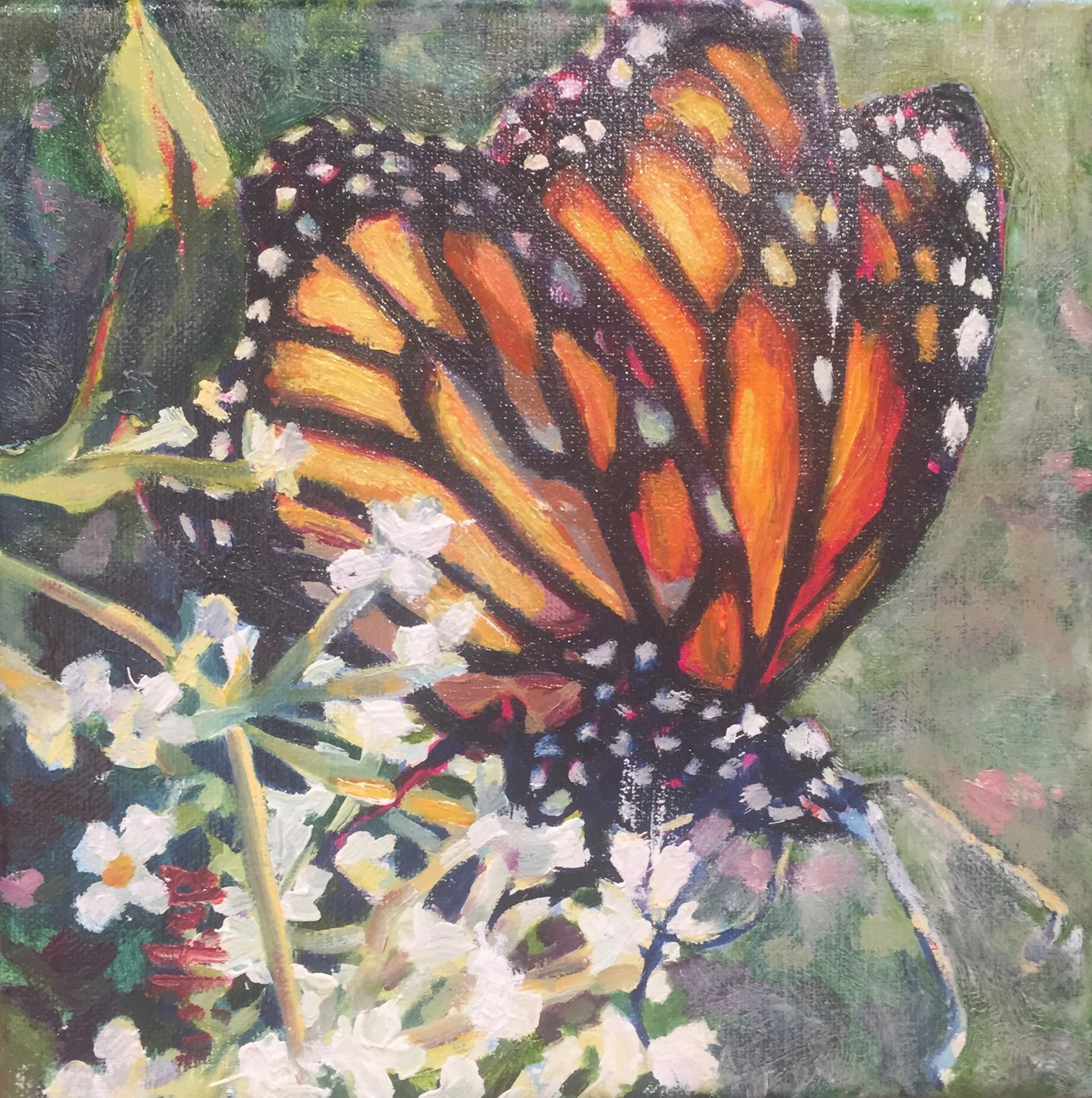 Patricia Griffin Monarch Butterfly on Flower In Oil On Linen, A Contemporary Fine Art Painting and Modern Wildlife Art Piece Available At Gallery Wild