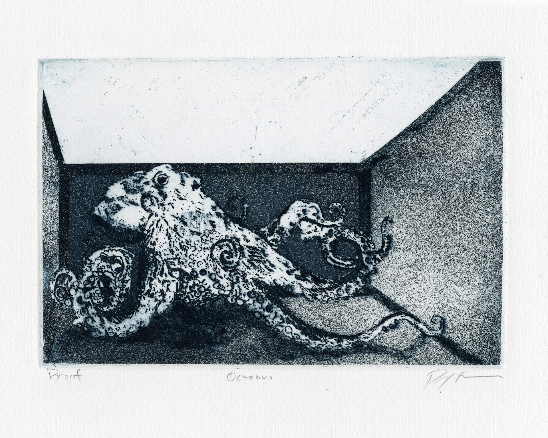Octopus Box by Paul Miller