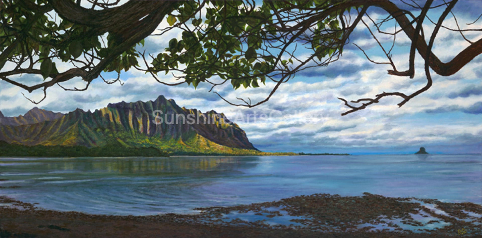 Waiāhole Afternoon Vista by Pati O'Neal