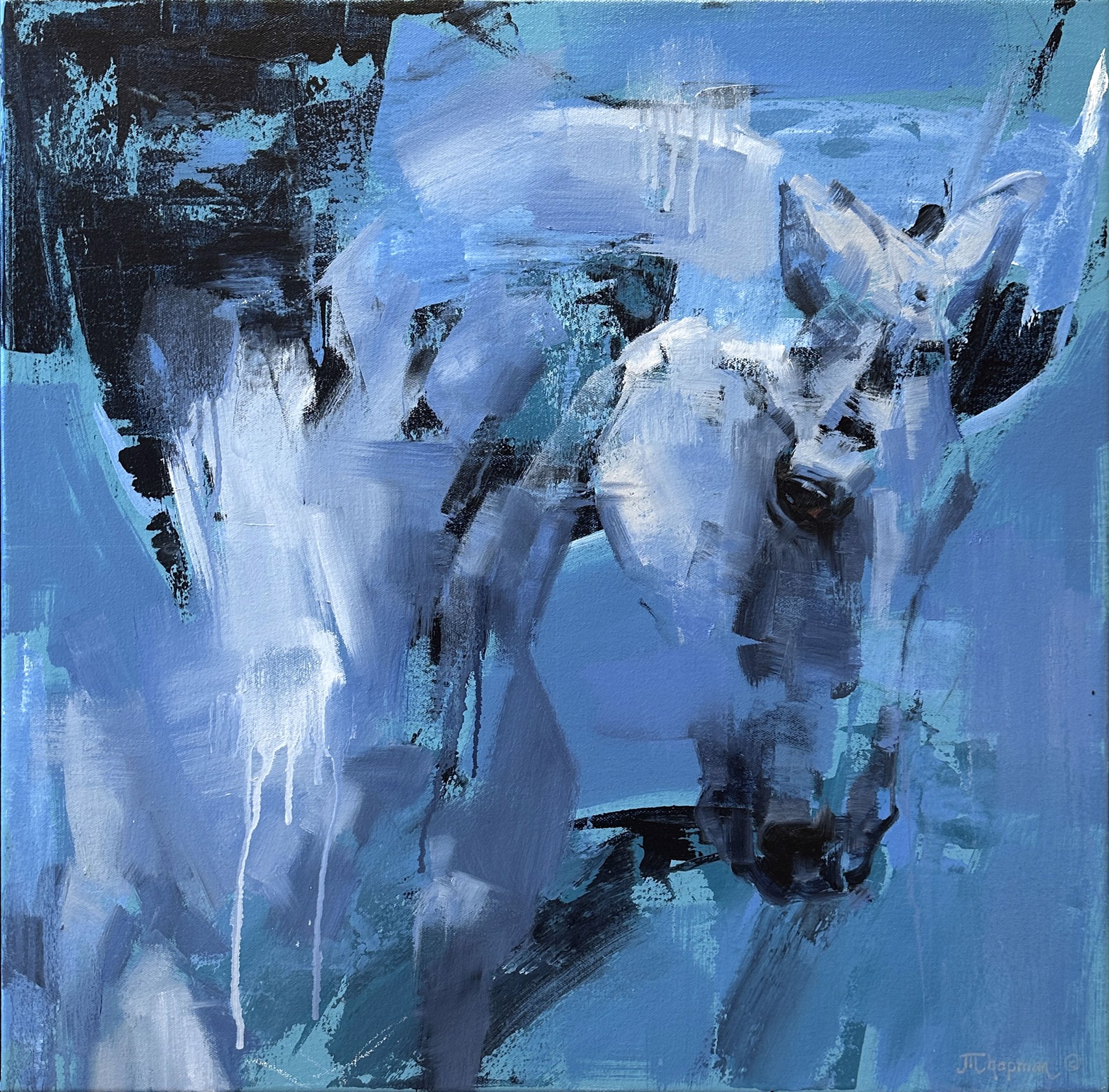 Original Mixed Media Painting By Julie Chapman Featuring An Abstracted Horse Bust In Blue Tones