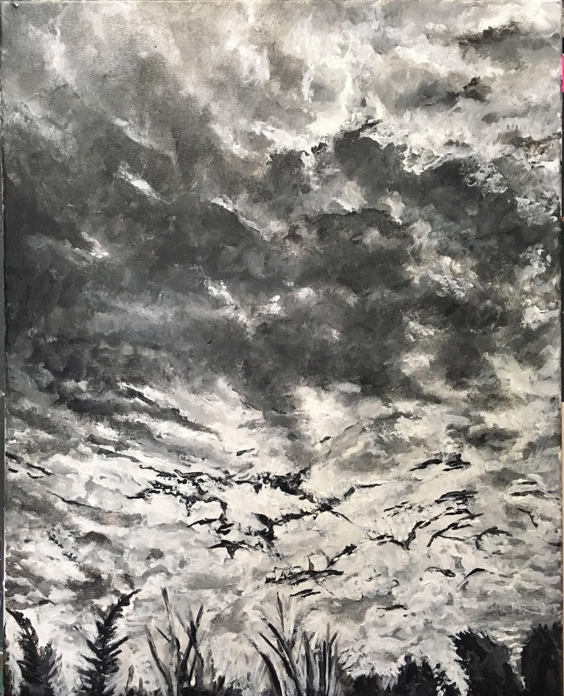 Storms by Elizabeth Caputo