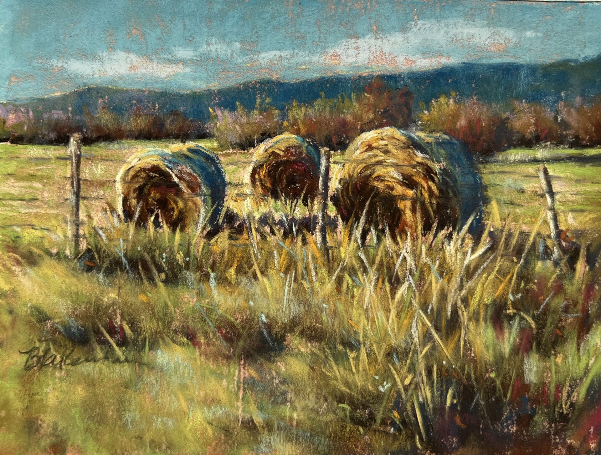 Leftovers by Marcia Blakeman