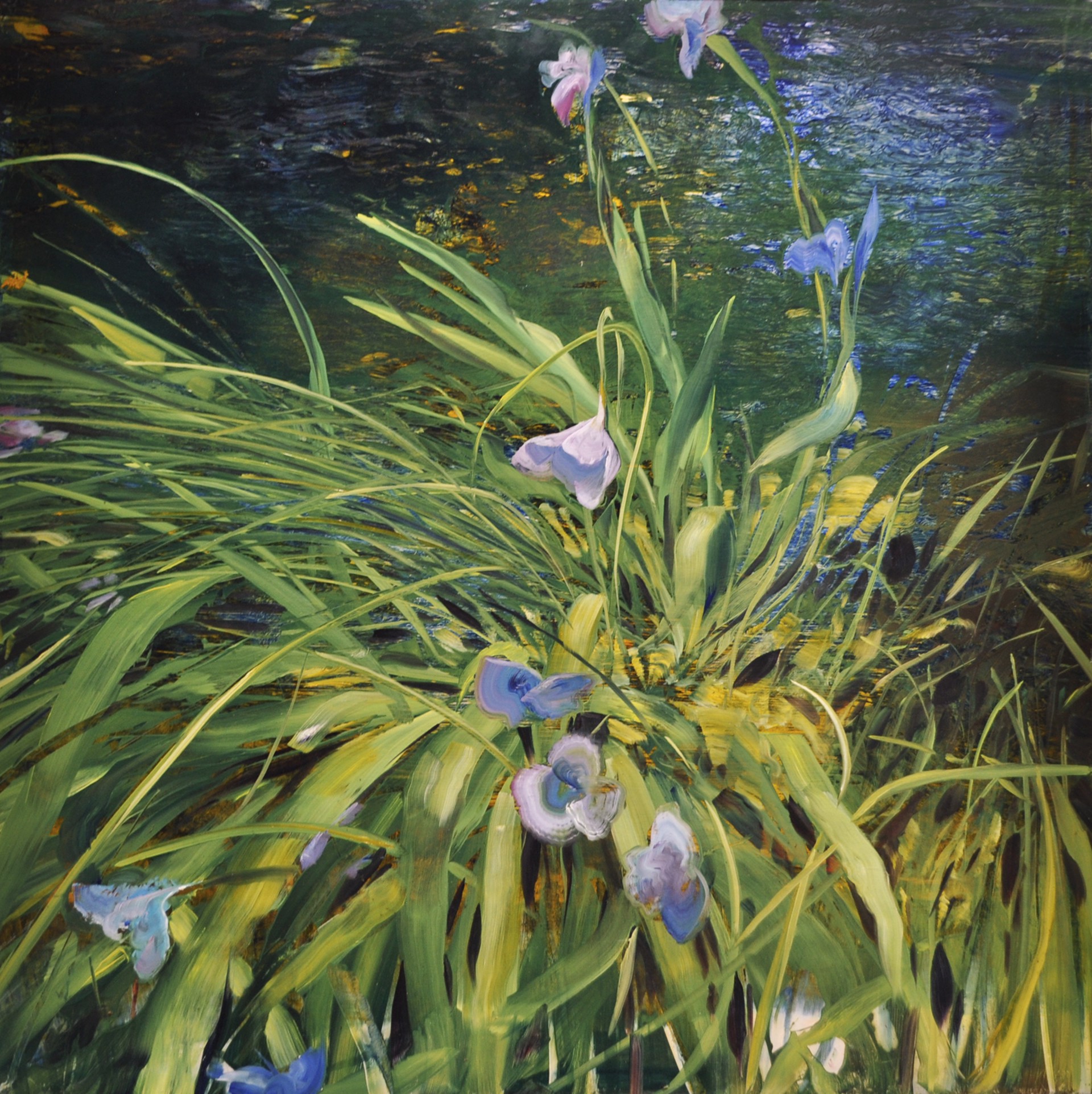 Wild Waterside Iris by David Dunlop