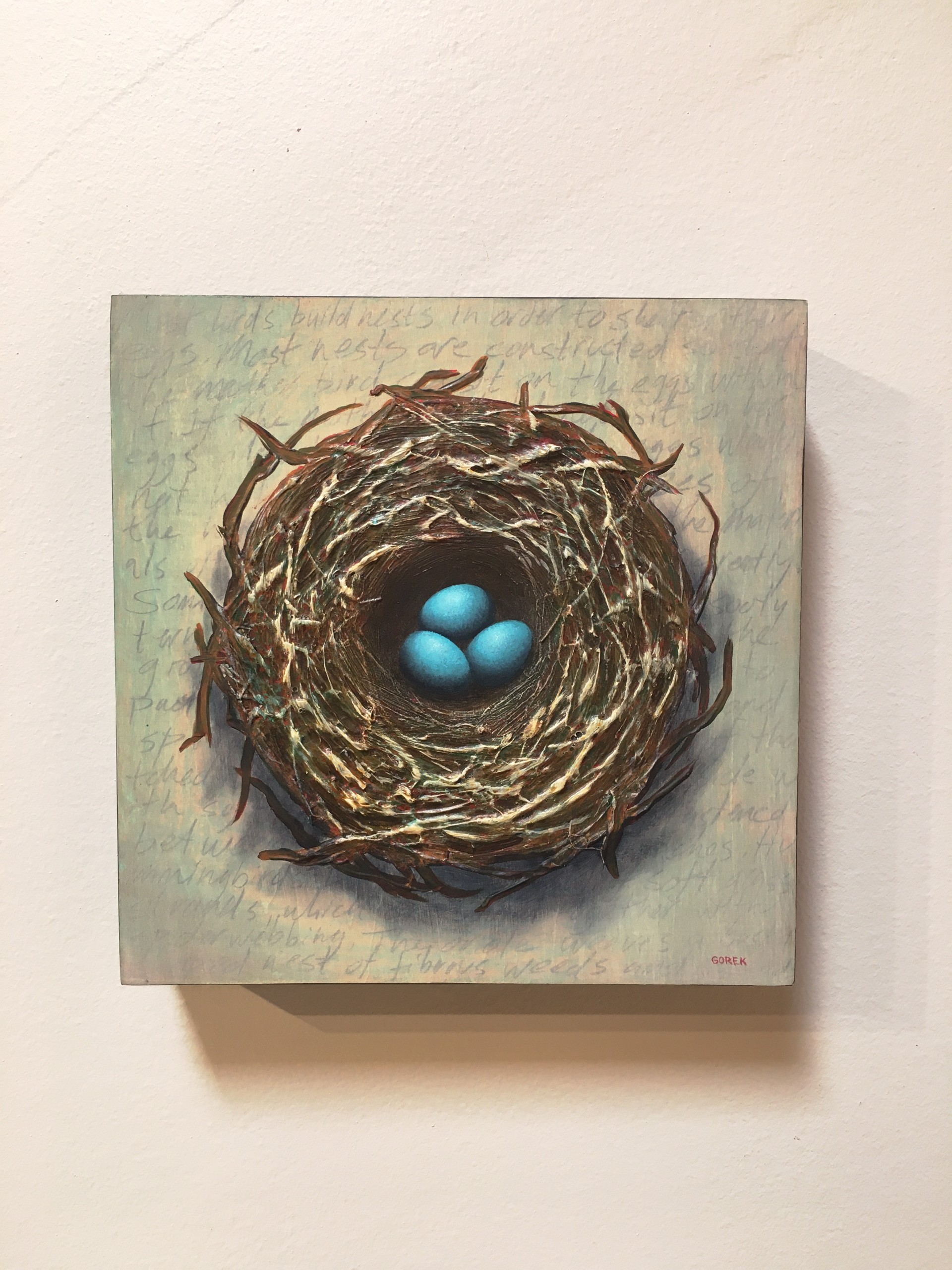 Bird's Nest, Three Eggs by Thane Gorek