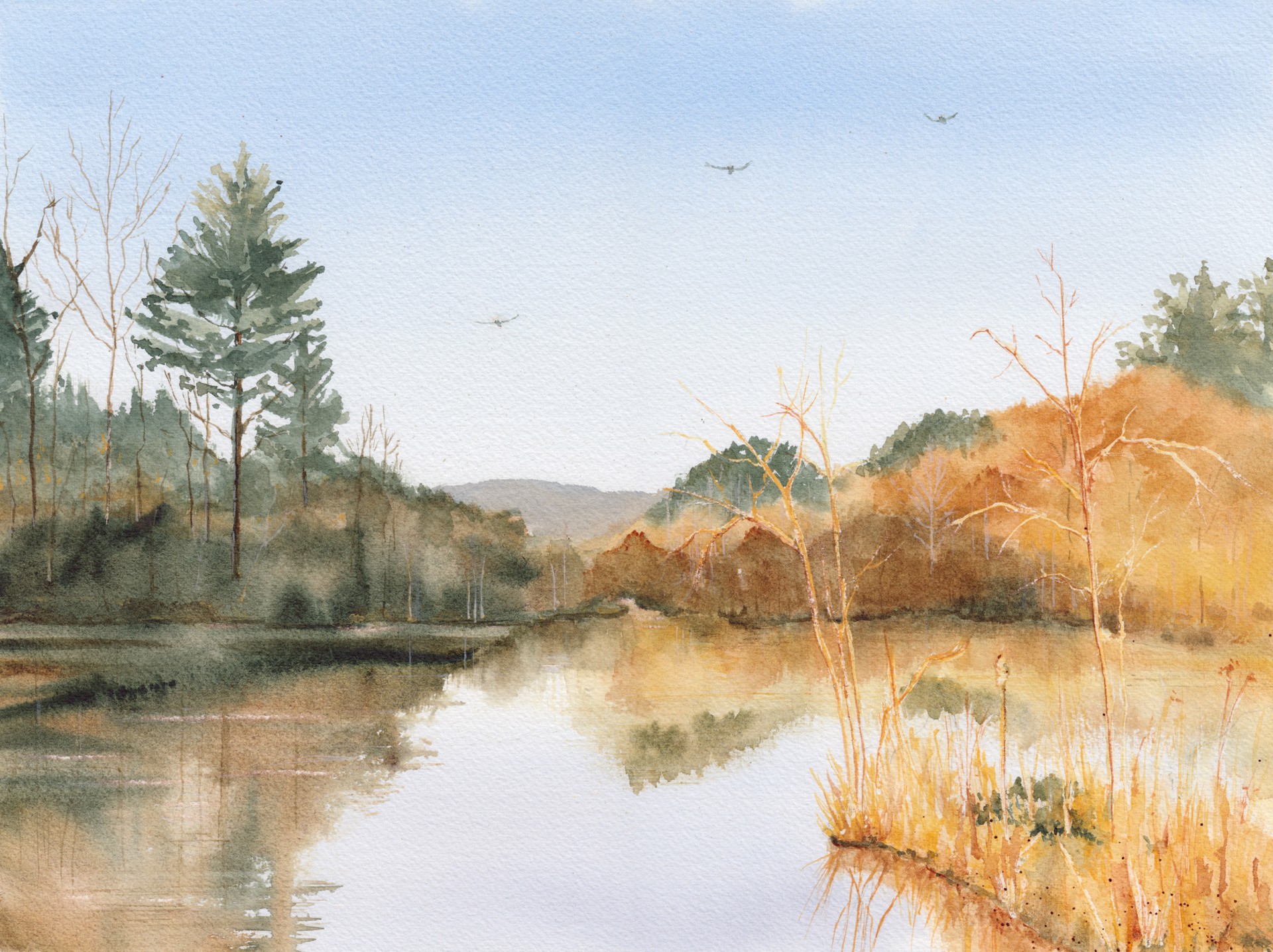Duck Pond by Bronwen McCormick