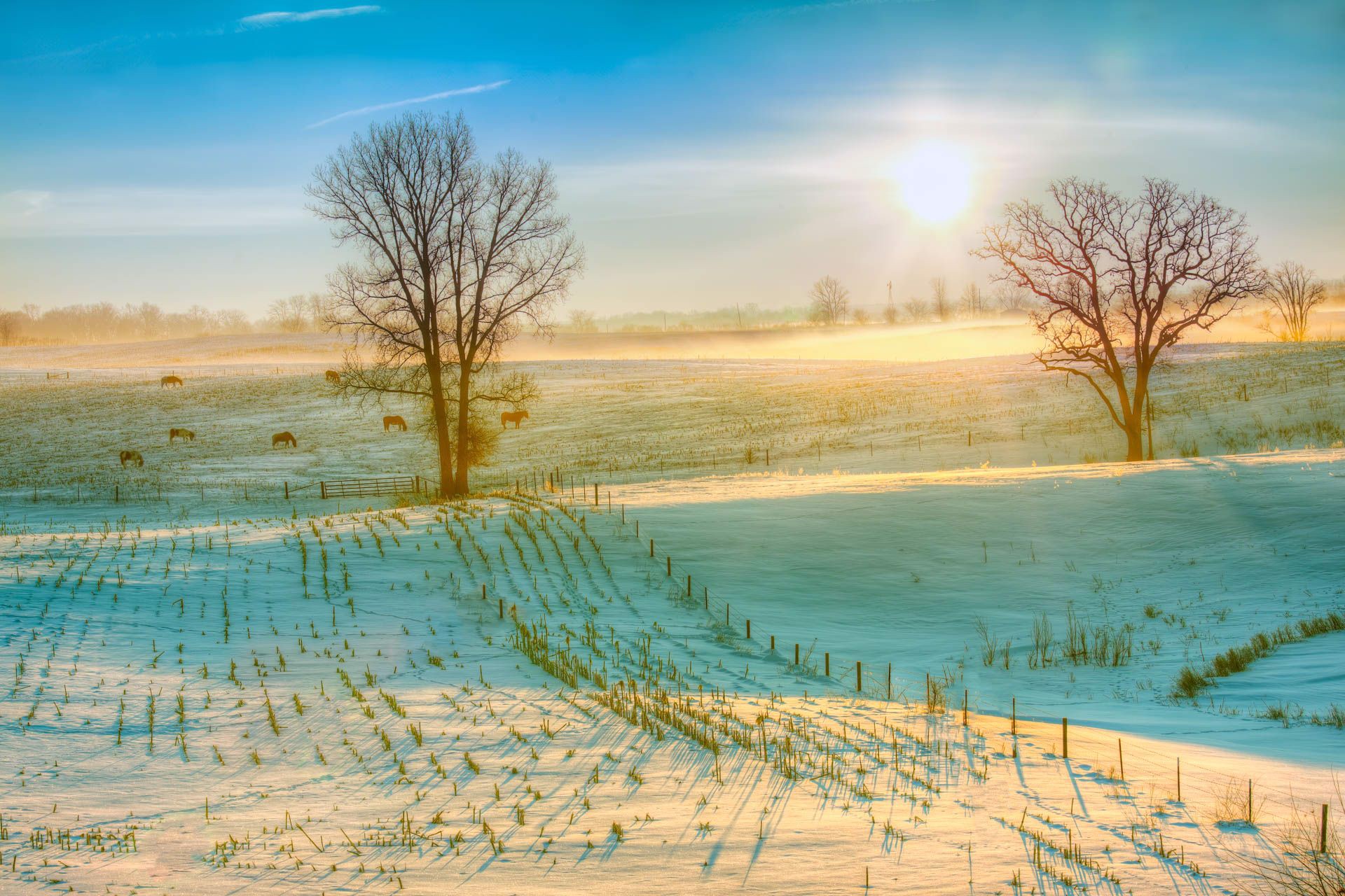 Winter Morning by Ken West