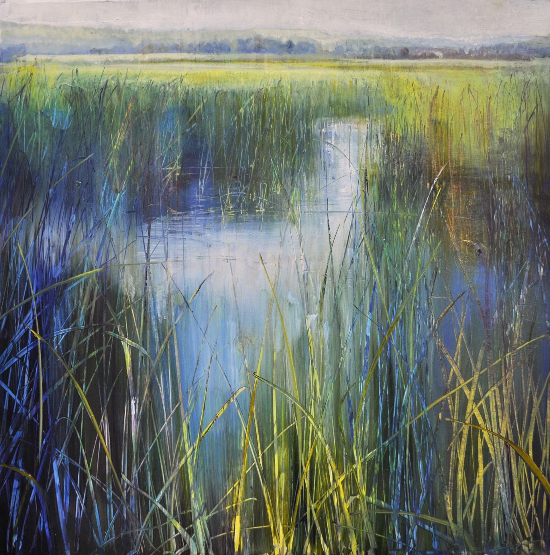 Marsh Atmosphere by David Dunlop
