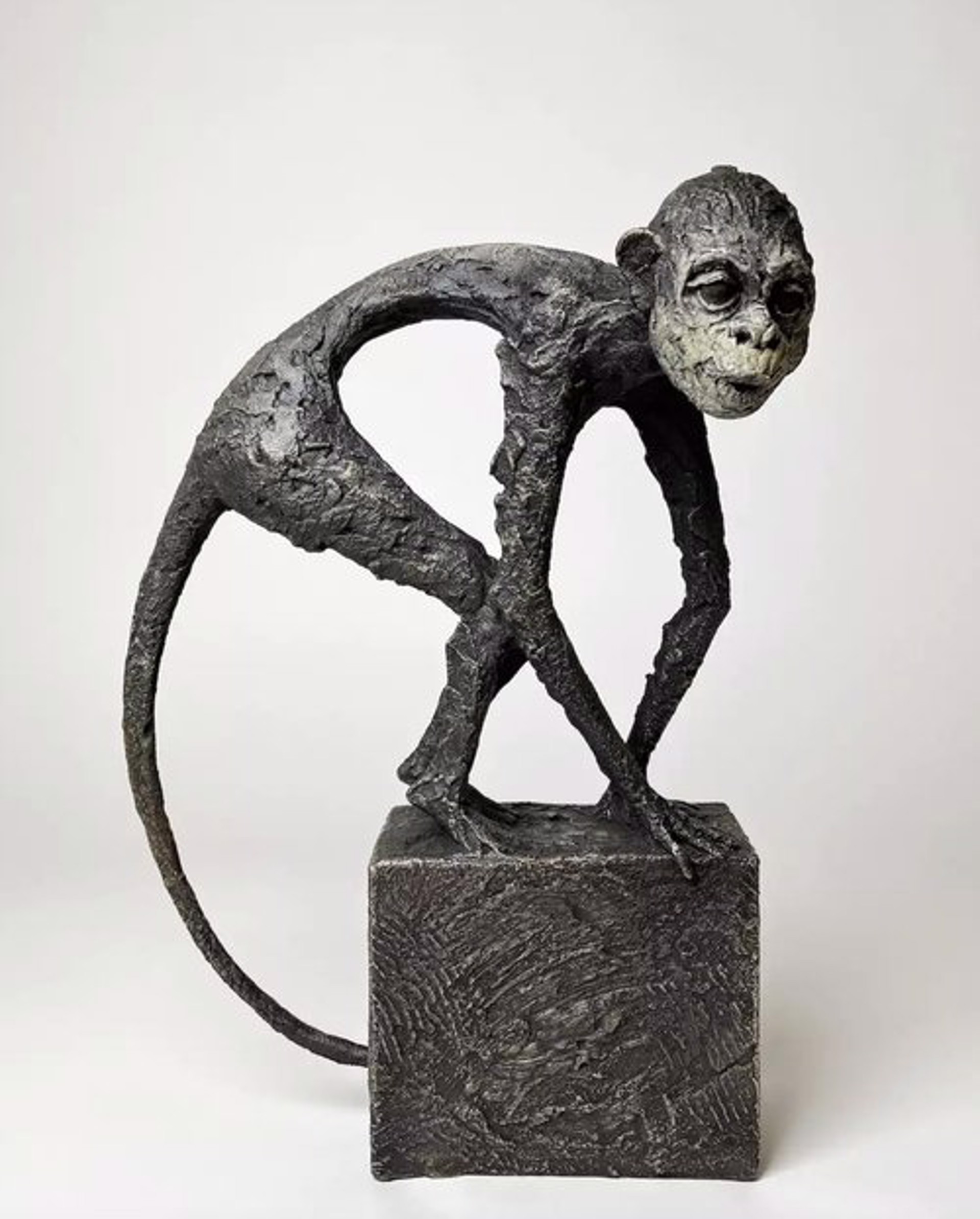 Monkey by Gustavo Torres