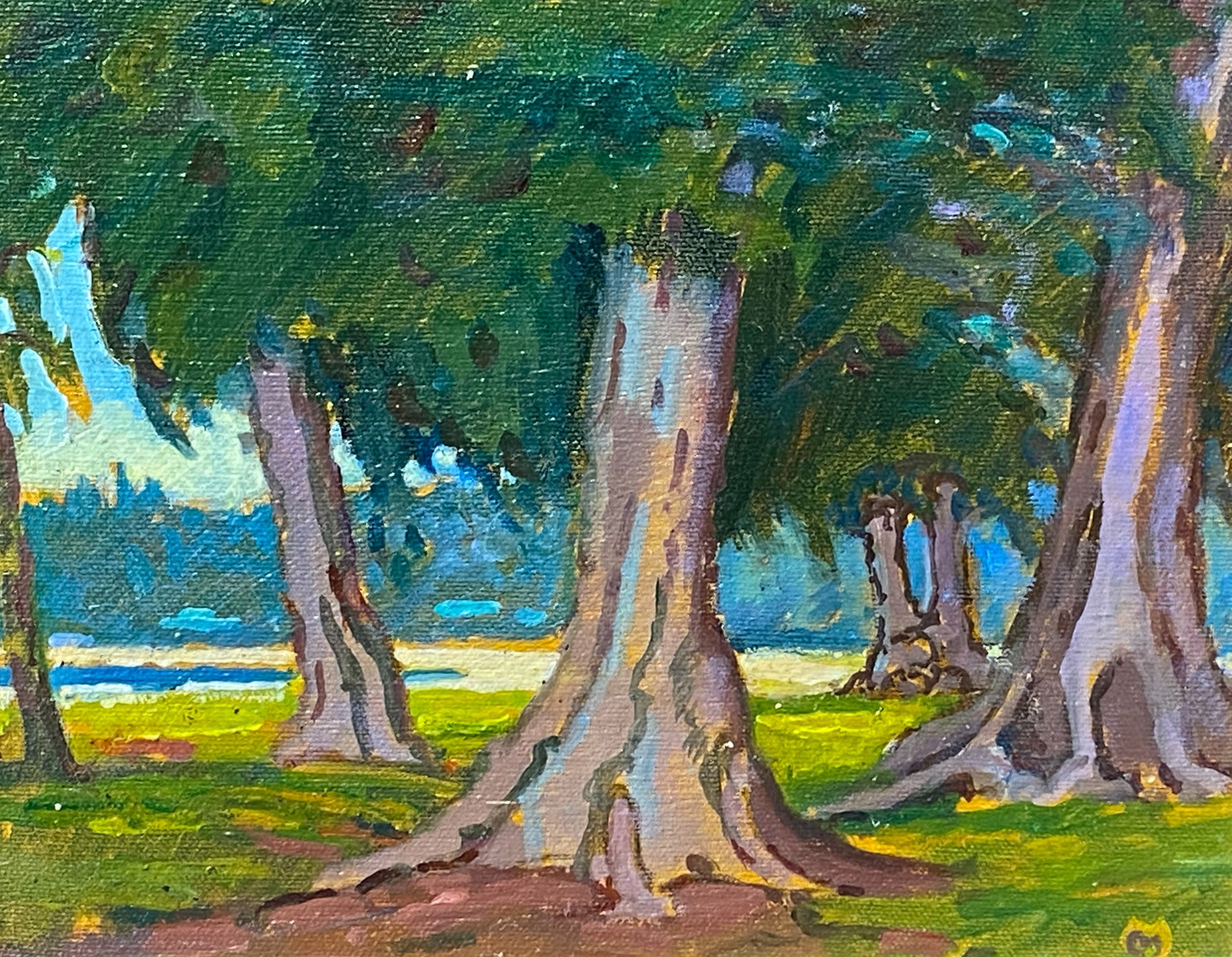 Pine Trees by Dennis Morton
