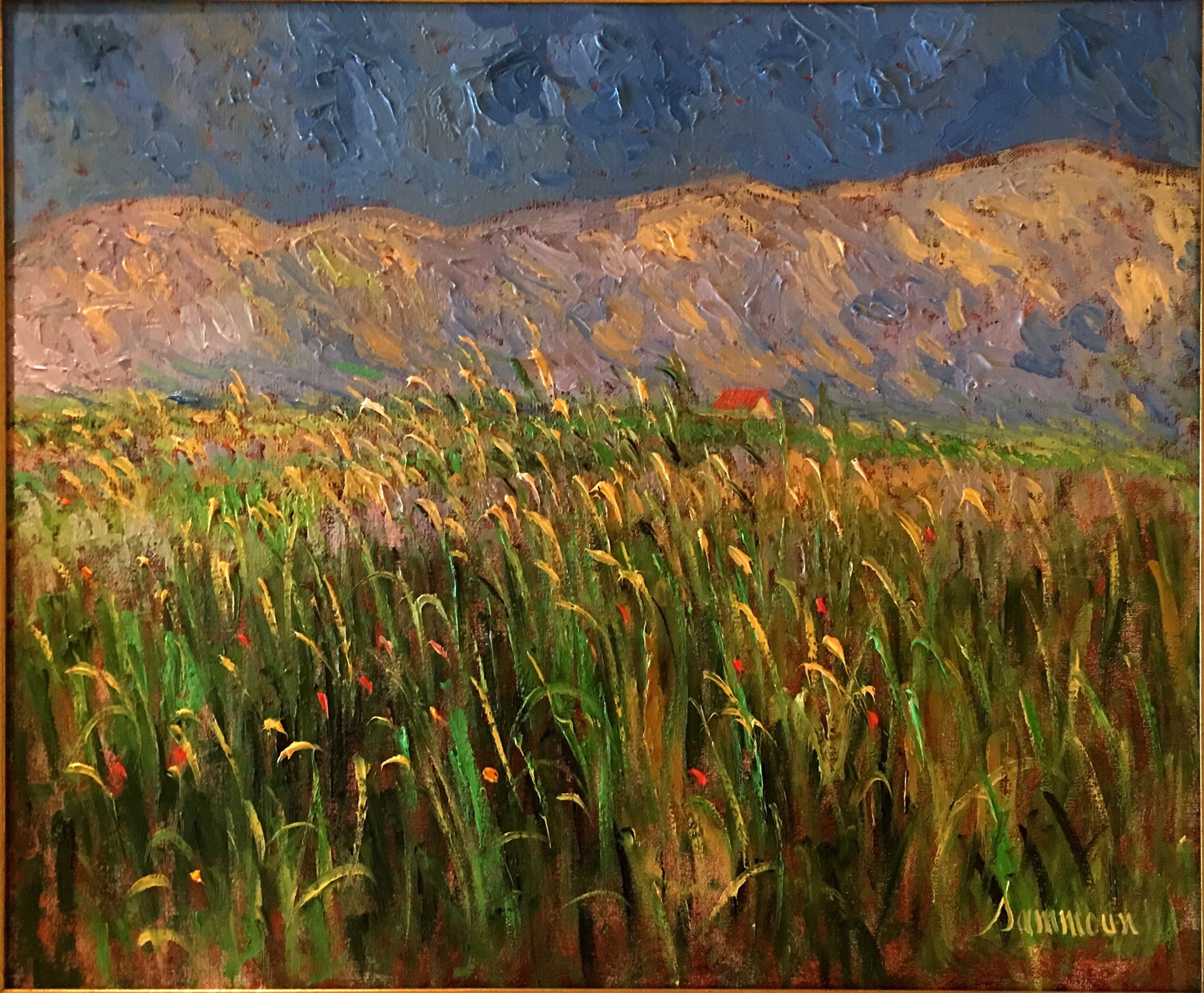 Green Wheat Field by Samir Sammoun